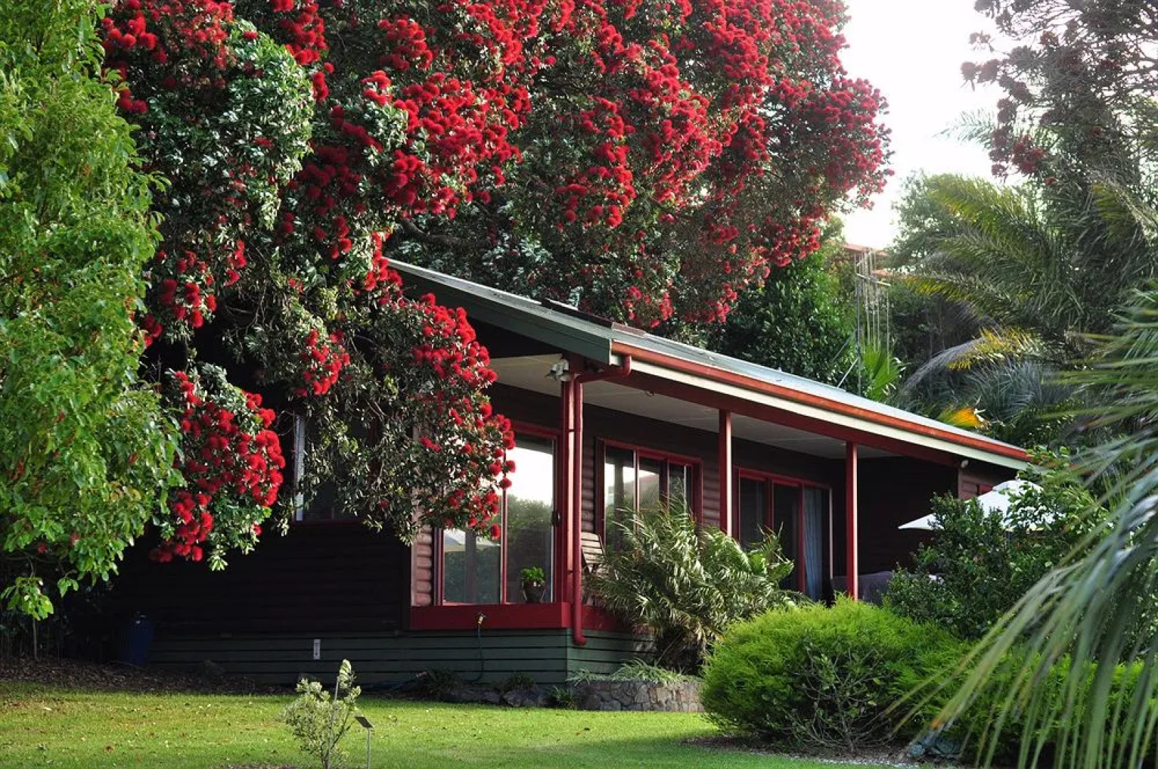 Sanctuary in the Cove