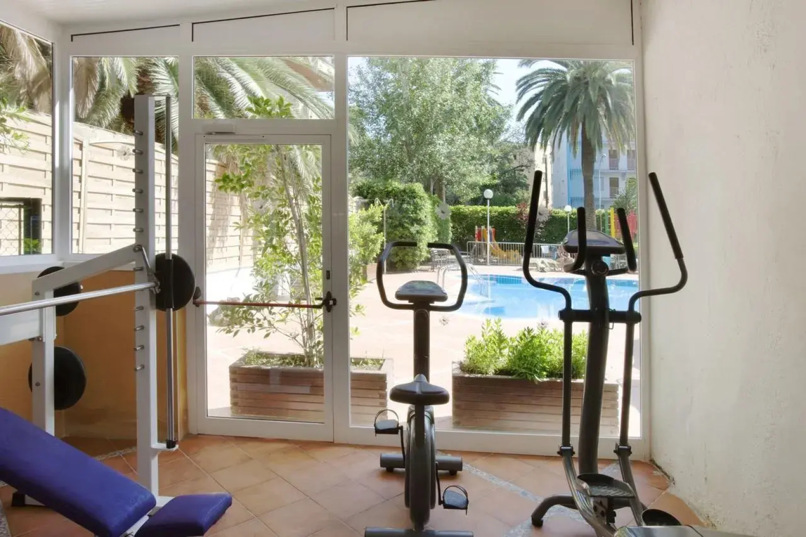 H10 Delfín - Adults Only