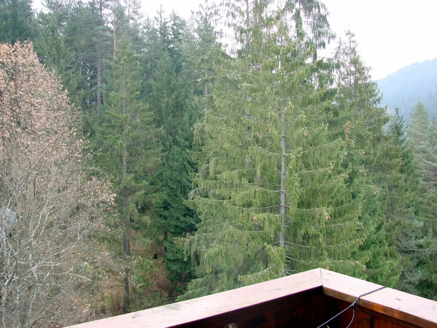 Fatrapark 2 Apartments