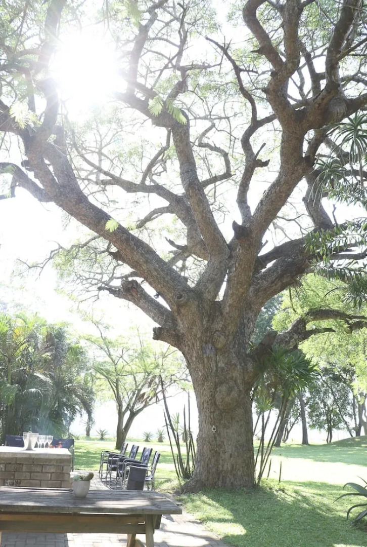 Fleur de Lys Guest Farm