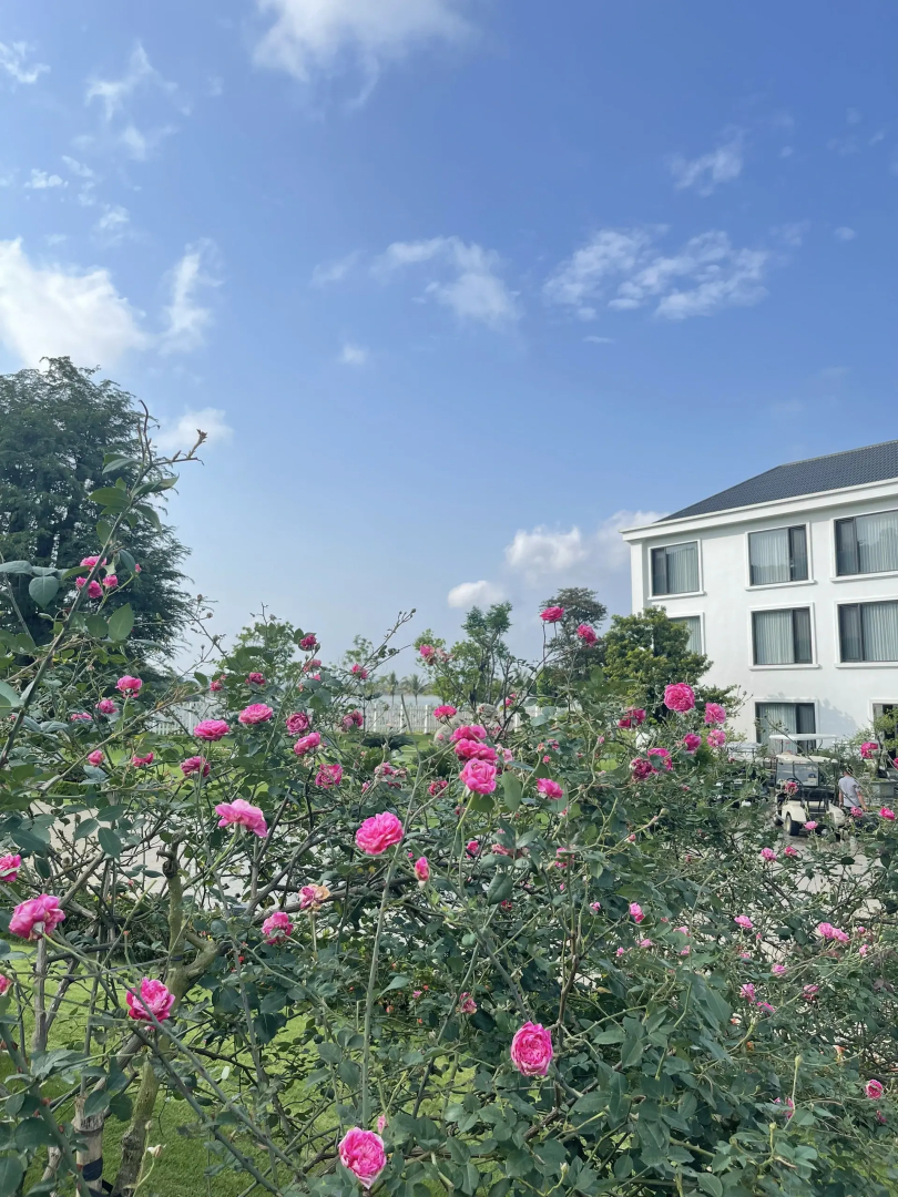 The Five Resort & Golf Hoang Gia Ninh Binh