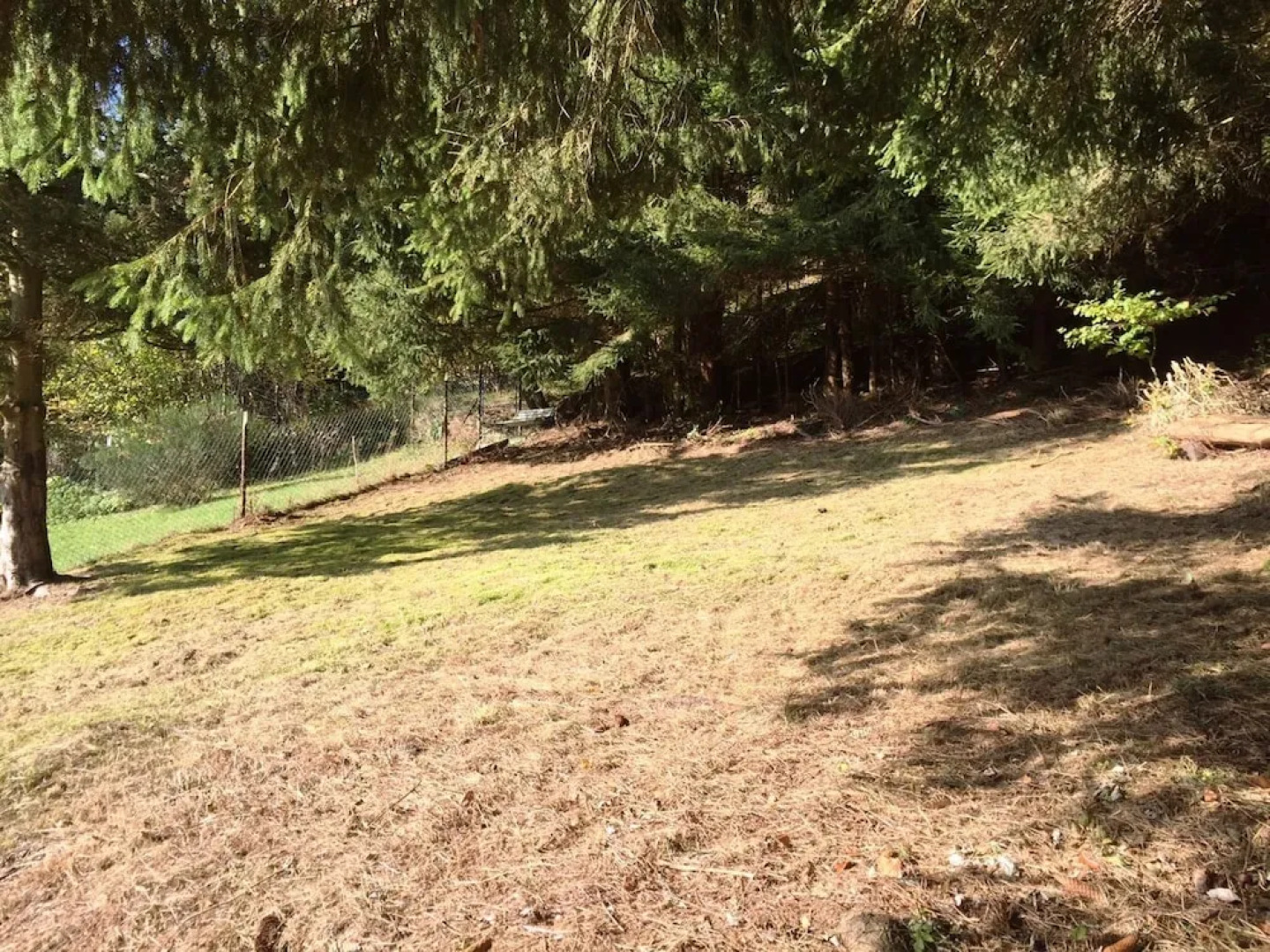 Chic Holiday House near Forest in Herzberg am Harz