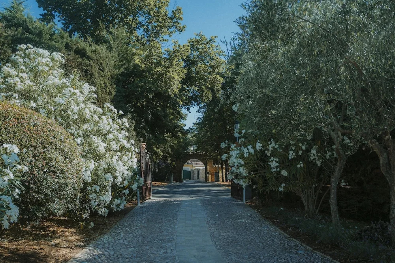 Le Chant des Cigales