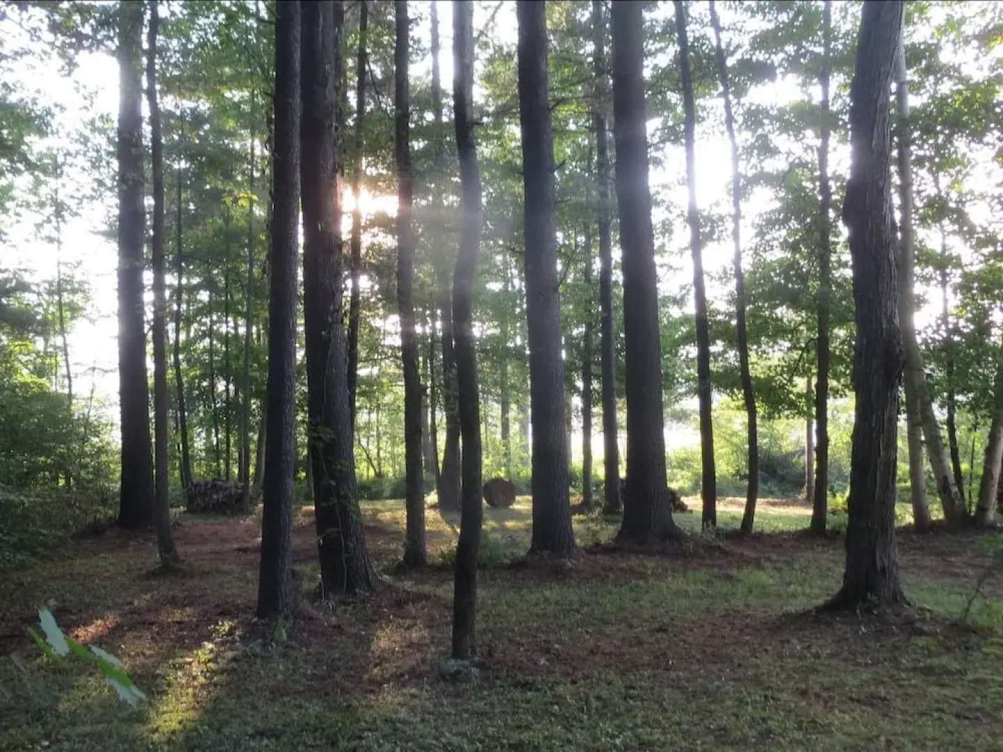 Tentrr - Restoration at Cattail Cove