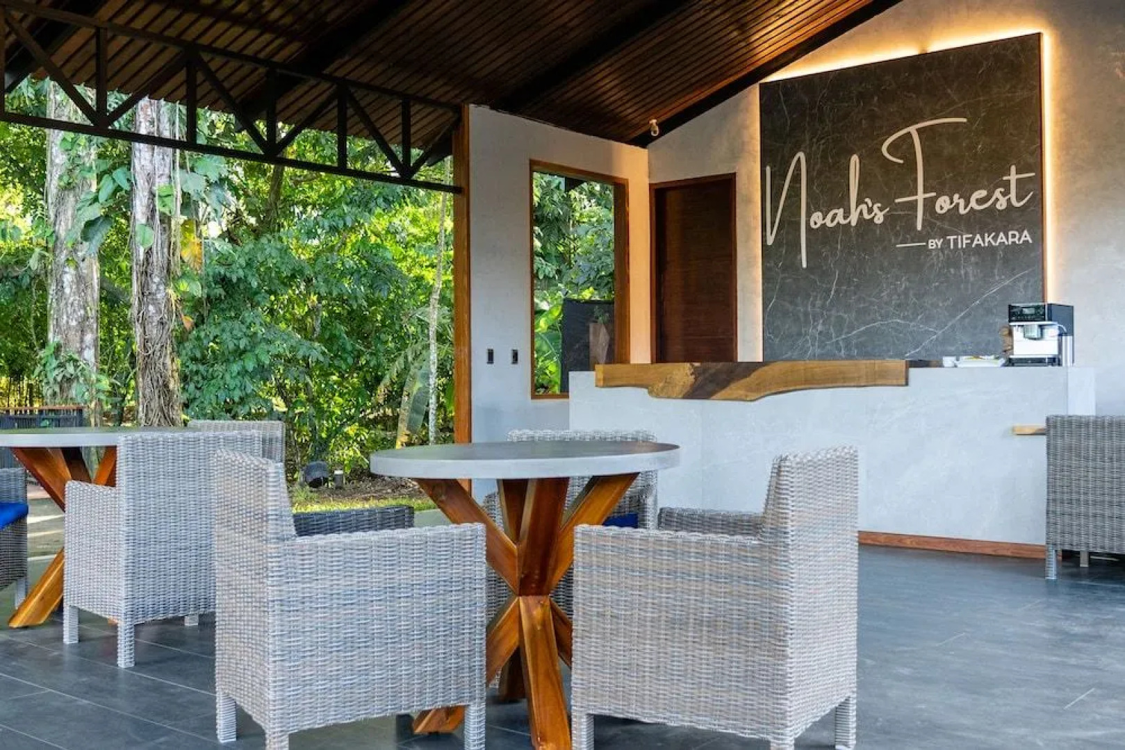 Noah's Forest by Tifakara