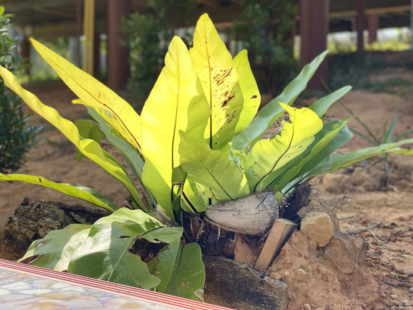 Relaxing House Koh Yao Yai