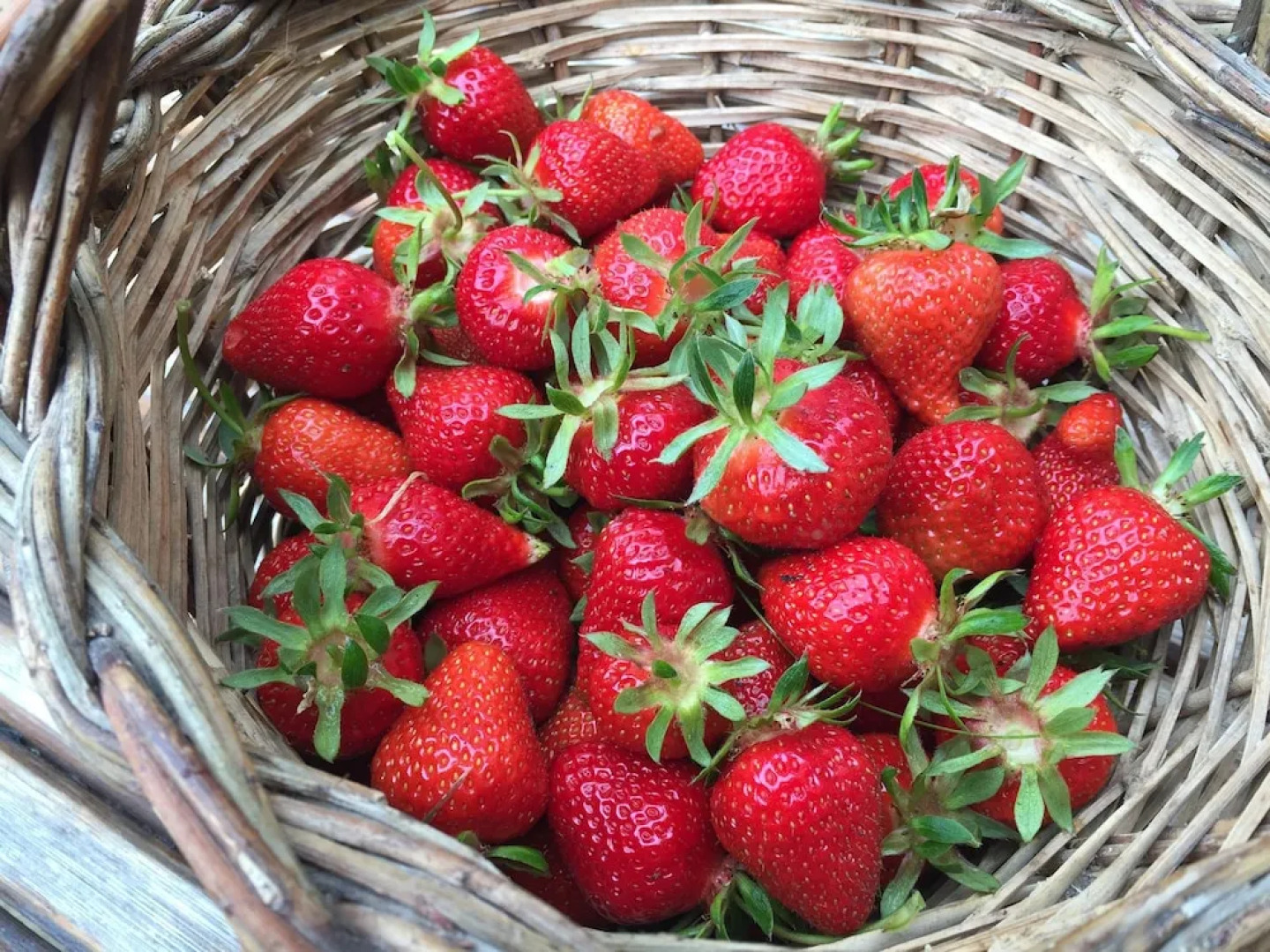 Le Case Della Buca Agriturismo ed Agricampeggio