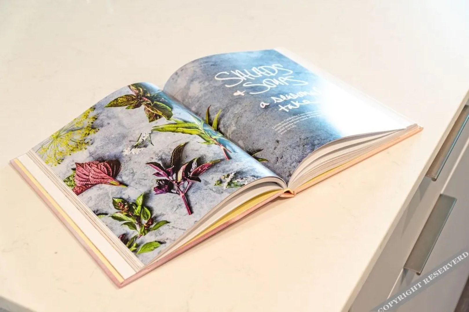 Reno Experience District Condos By Barsala