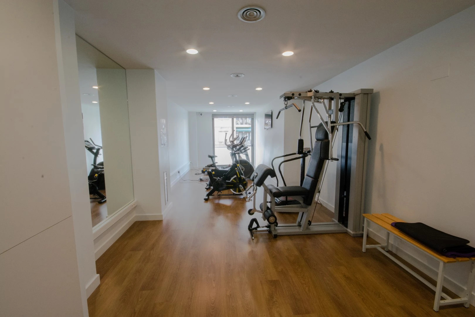 Sensation Sagrada Familia