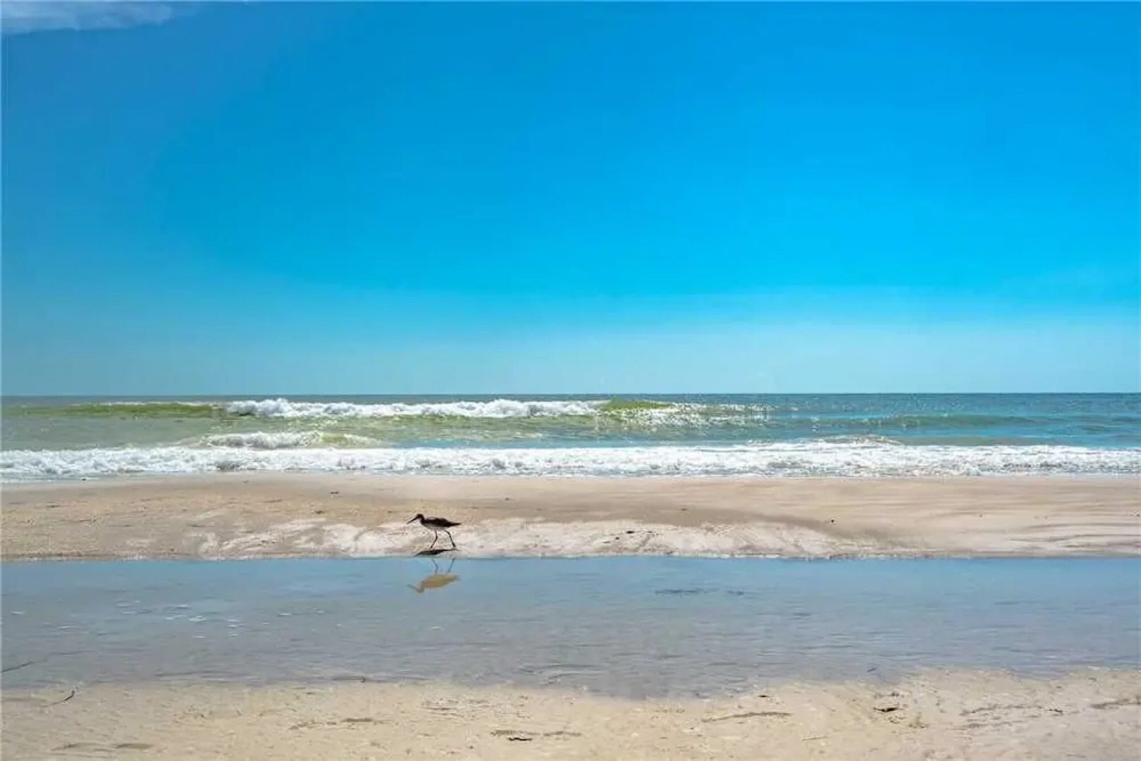 302 - Palms of Treasure Island