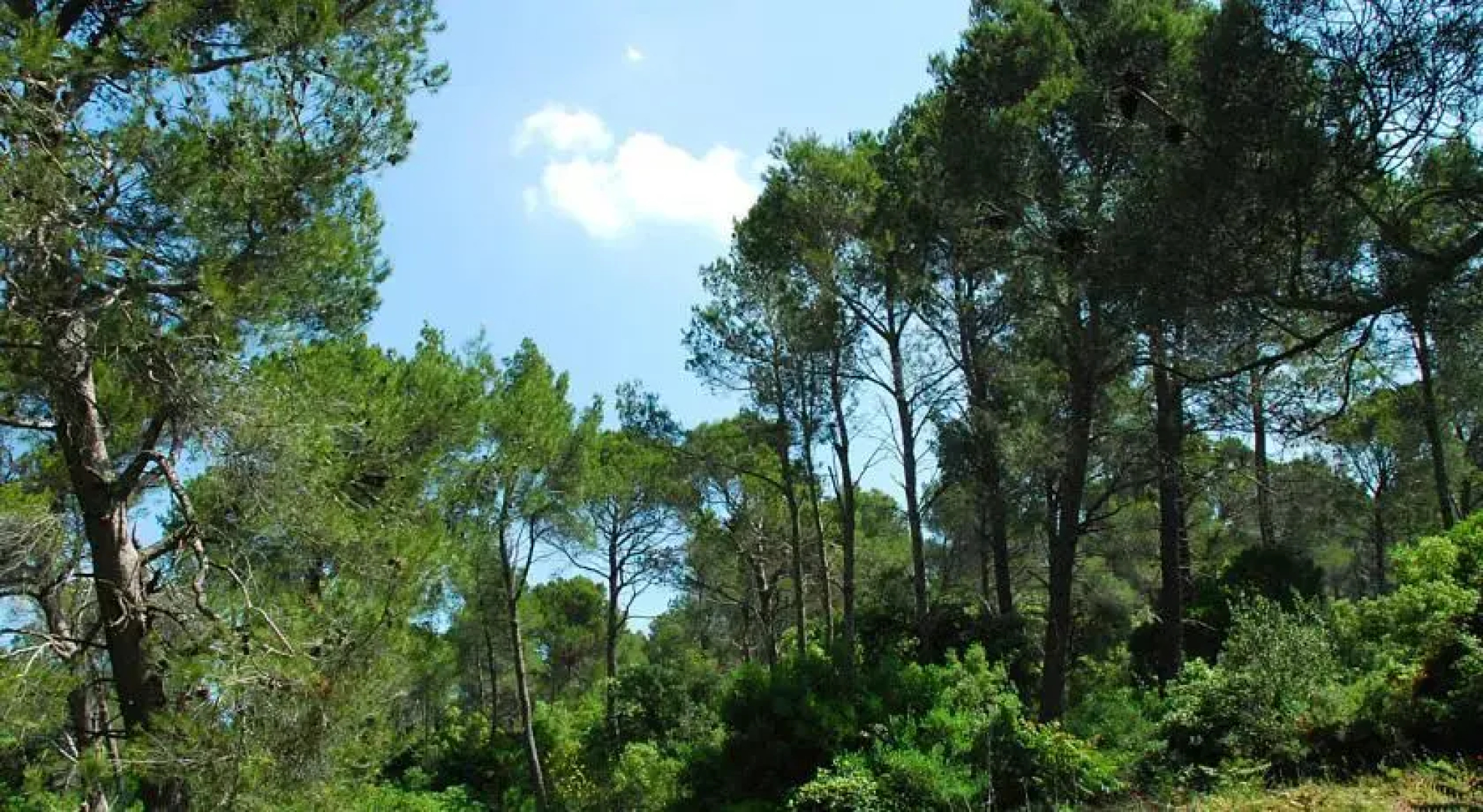 Villa au Coeur des Alpilles