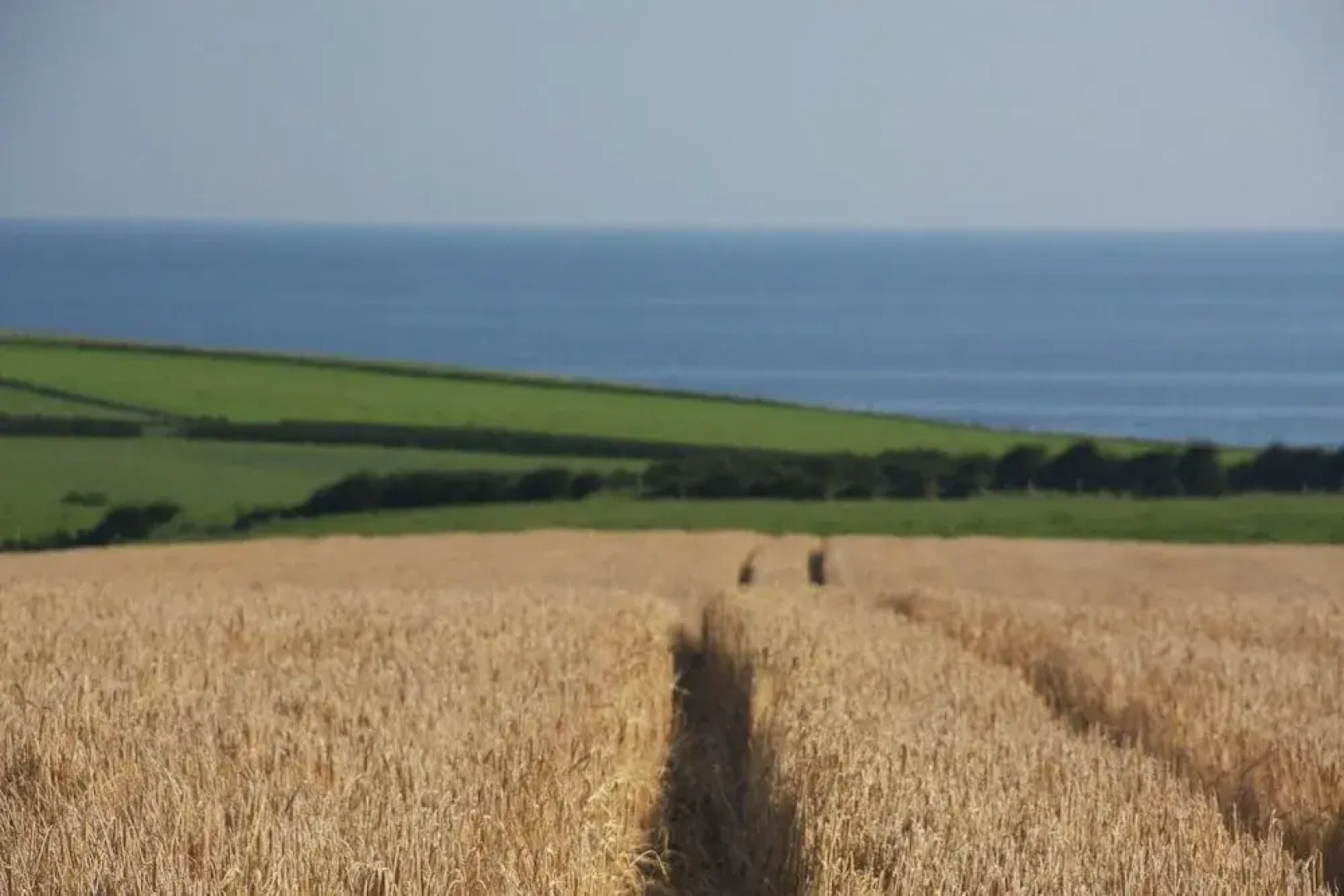 Bayview Farm Holiday Cottages
