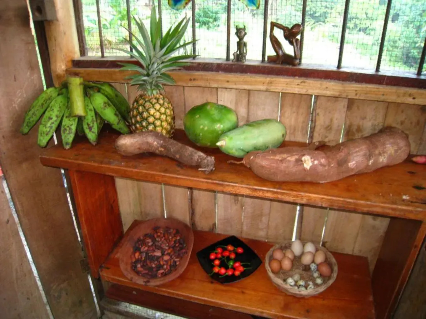 EcoFarm Casa Pequeña