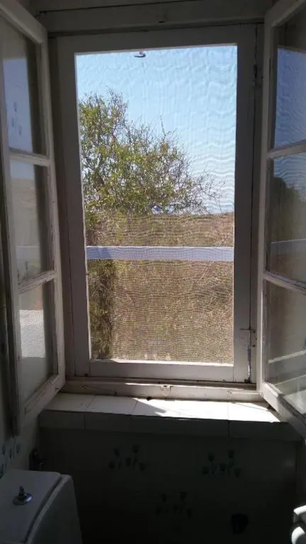 The large bougainvillea house