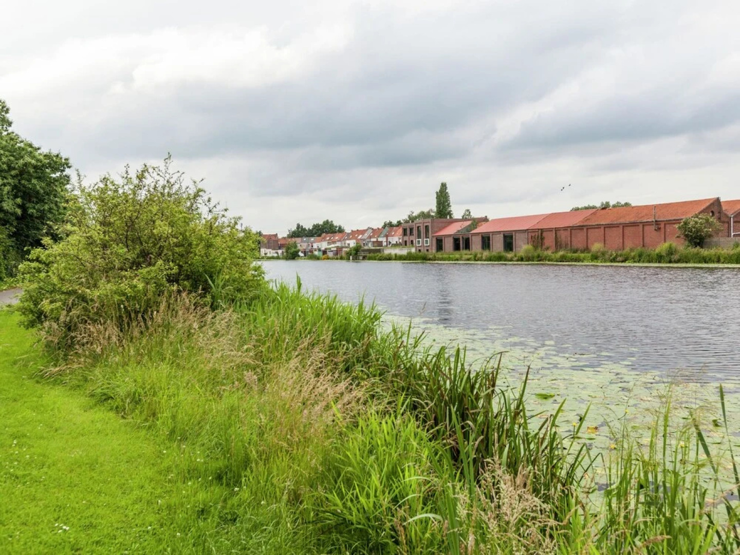 Renovated city apartment