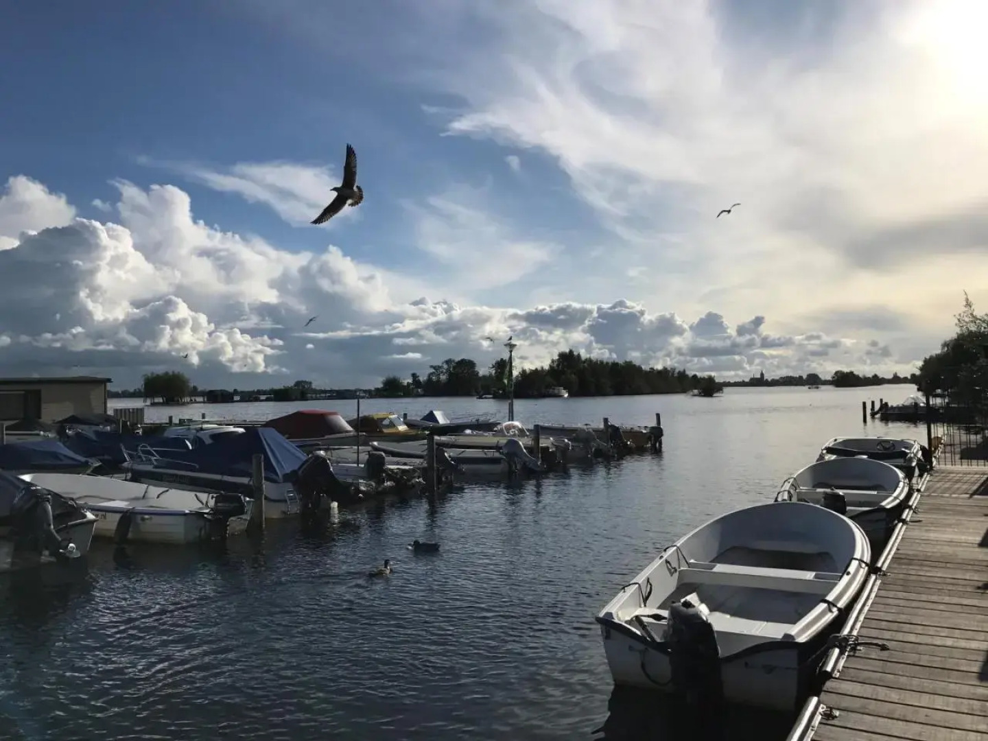 VVP Verhuur - Visserslust