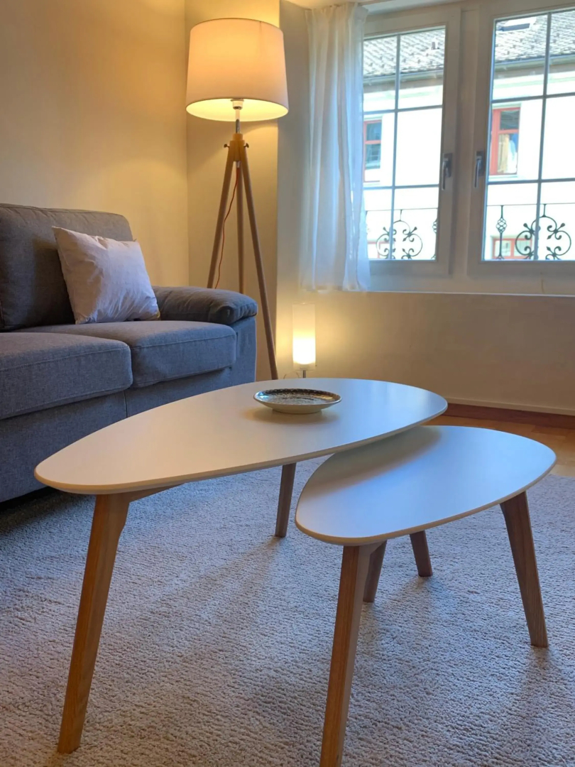 Old Town Loft & Central Location in Rapperswil