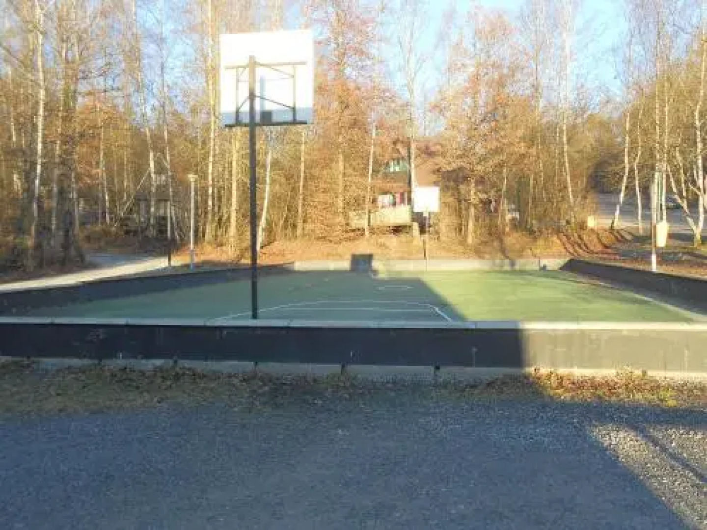 Woodpecker - bungalow 29