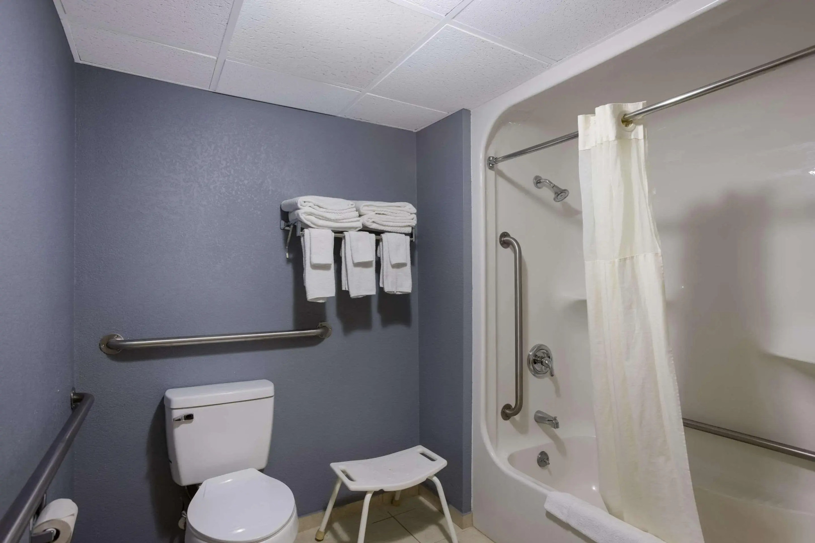 Quality Inn & Suites Big Rapids near University