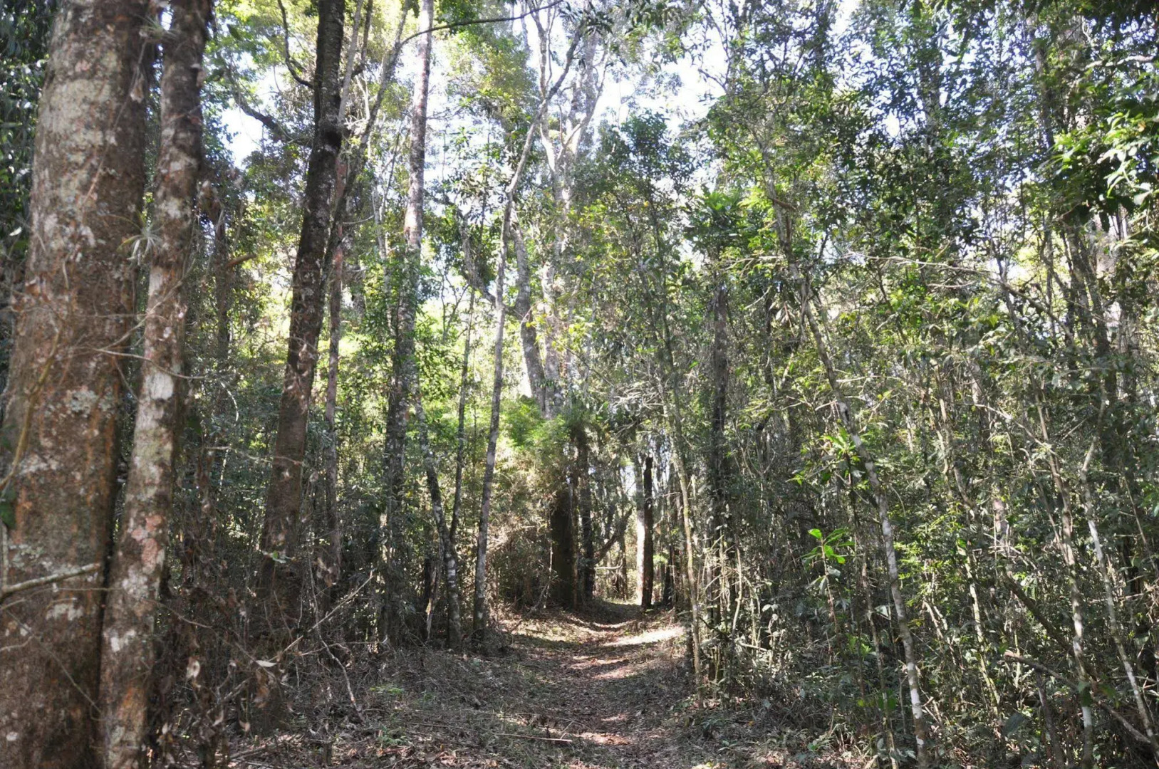 Quinta dos Pinhais Pouso e Charme