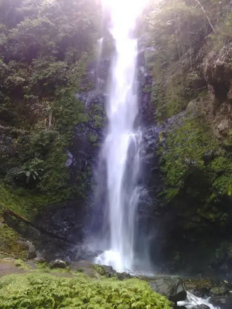 Puri Sunny Guesthouse