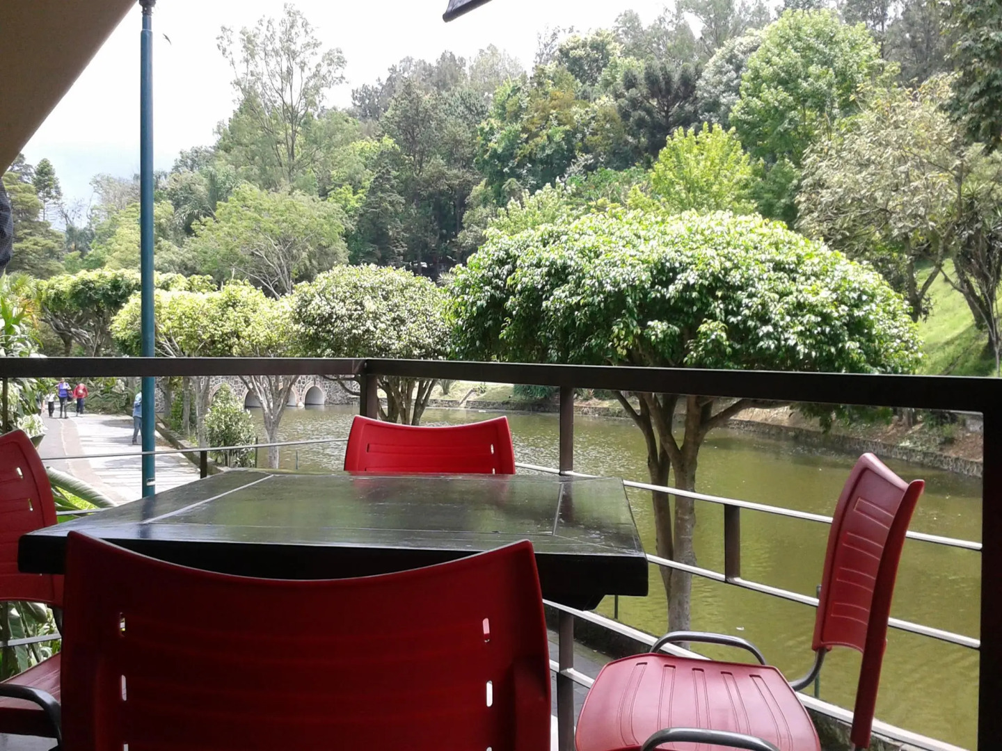 Mision Express los Lagos