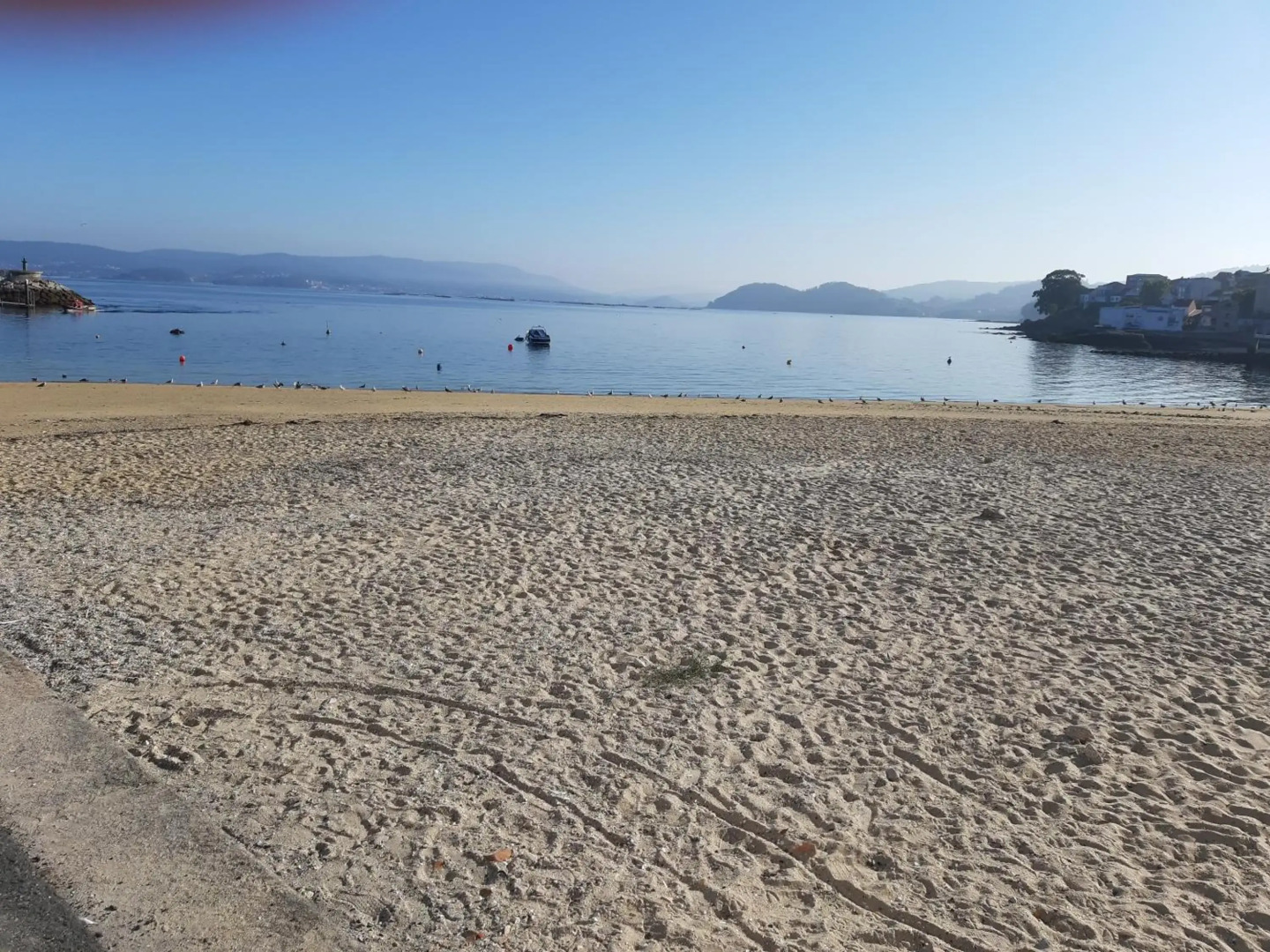 Apartamento muy Coqueto