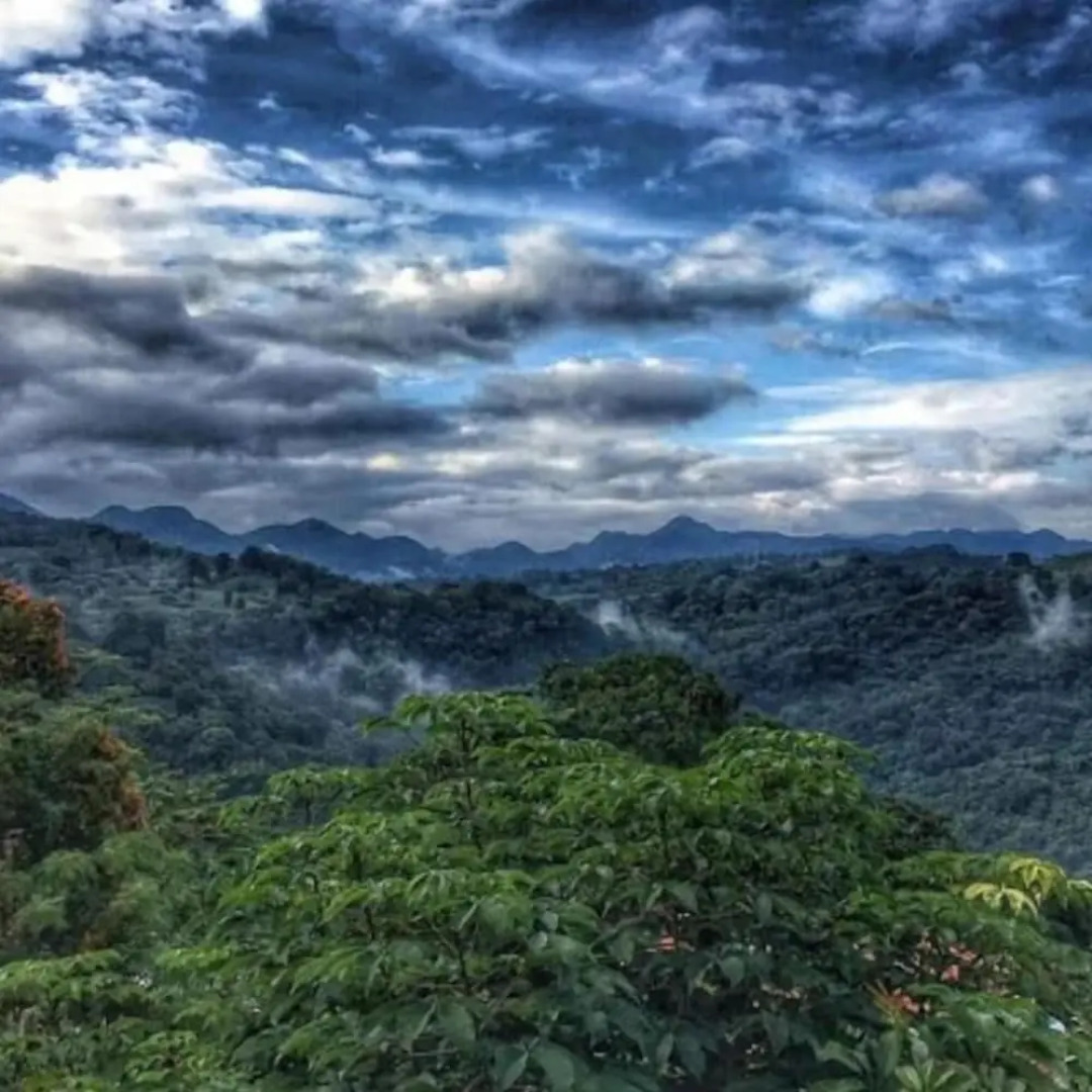 Posada Casa James Xilitla