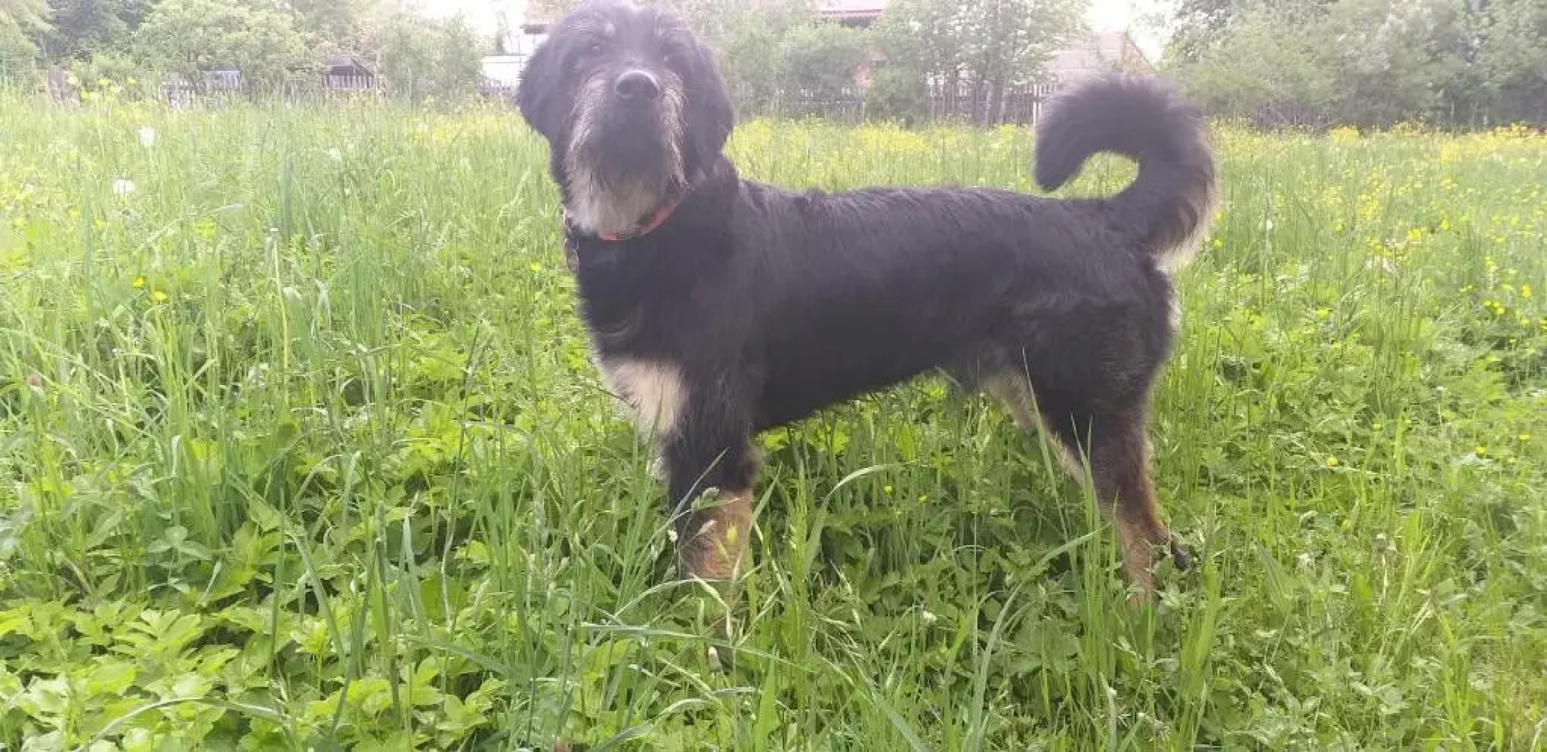 2-Zimmer Dg-Apartment Mit Eigener Sauna