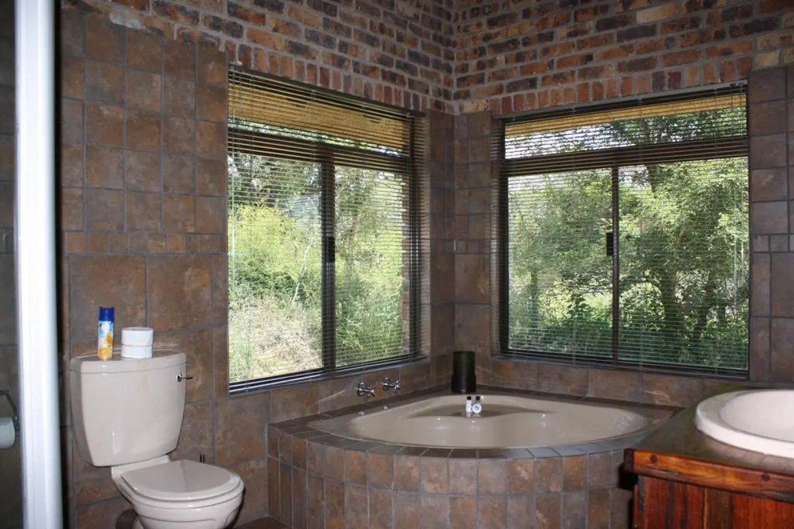 Gomo Gomo Game Lodge