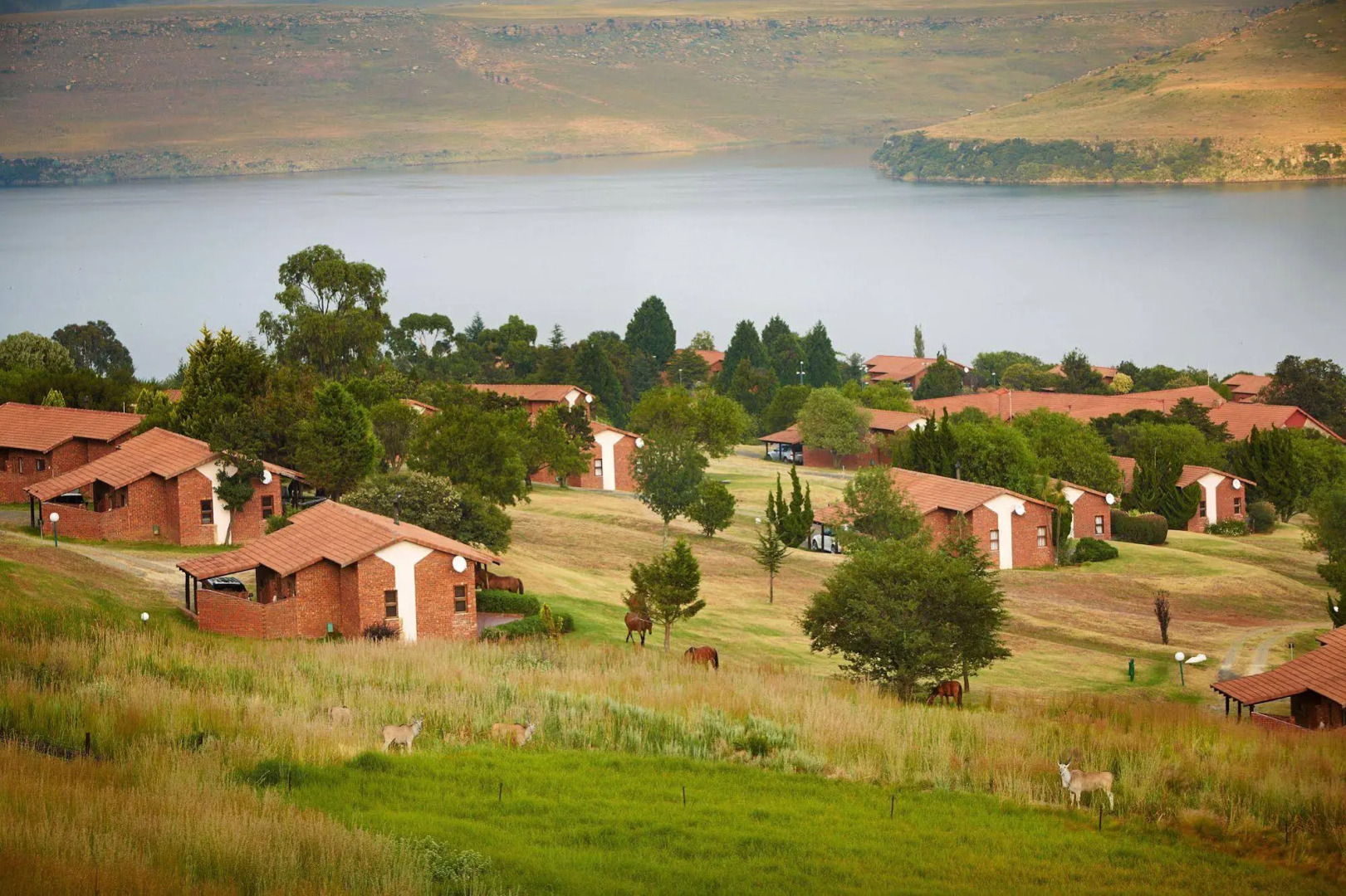 First Group Qwantani