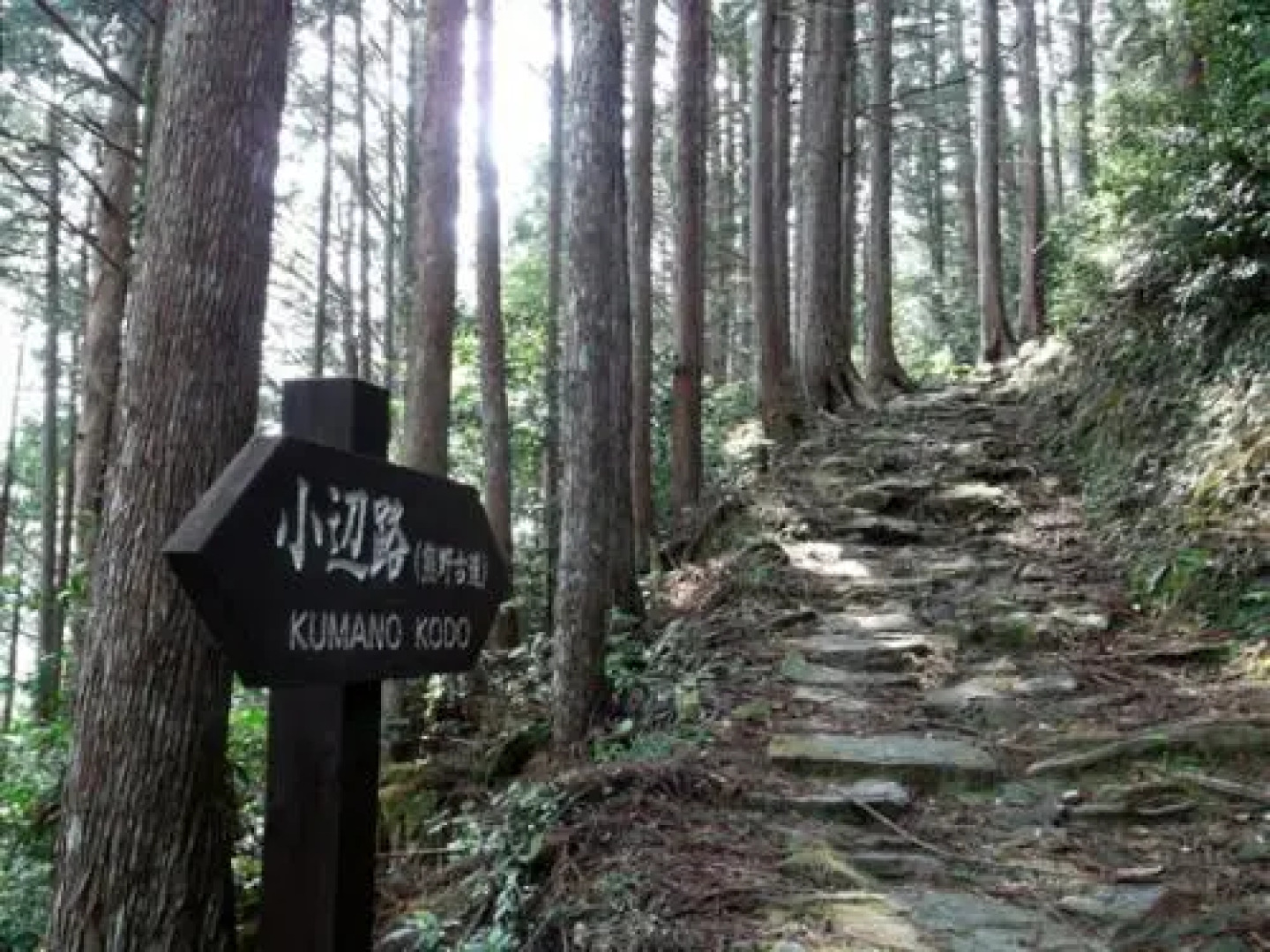 Totsukawa Onsen Minshuku Matsunoya