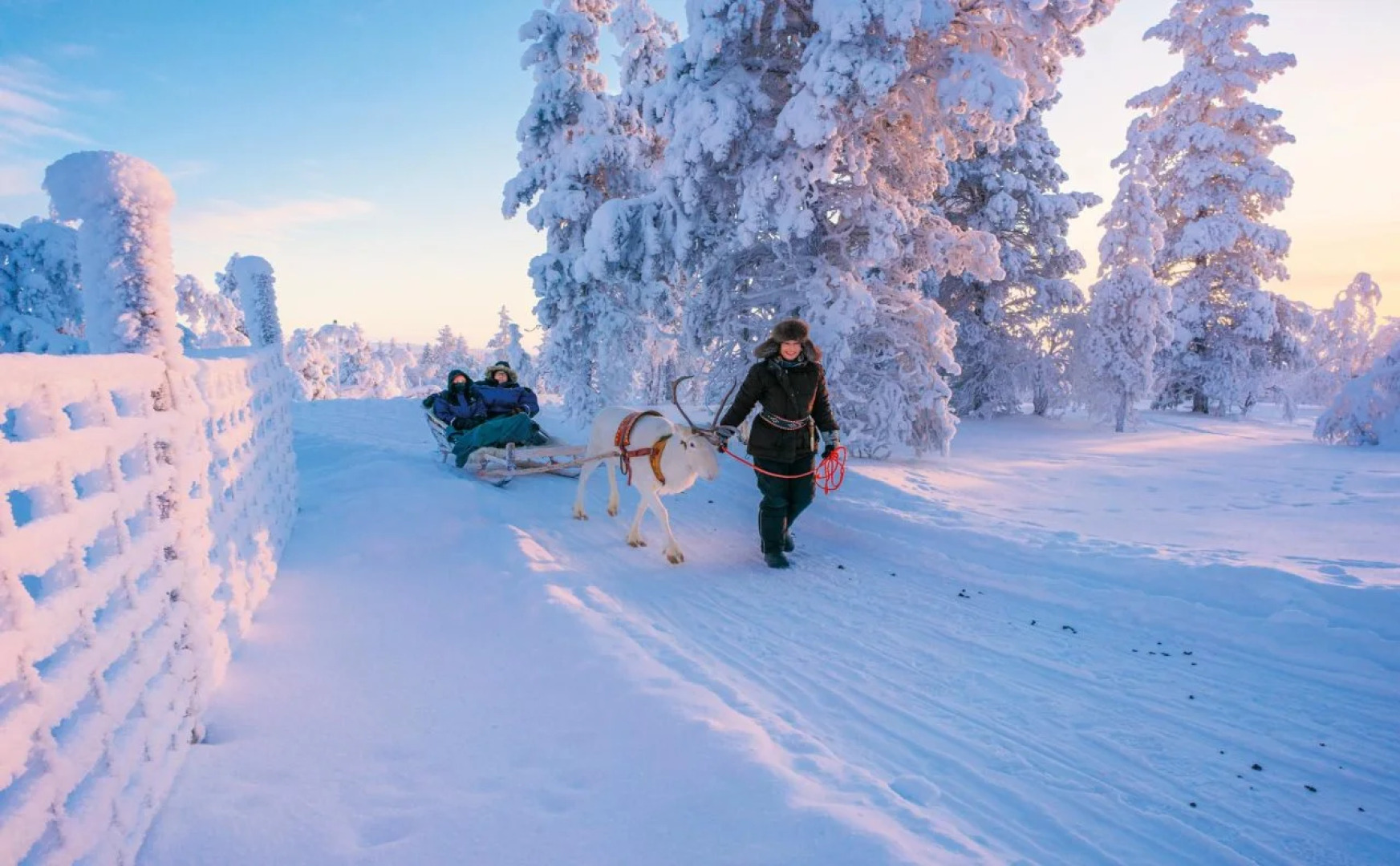 Star Arctic Hotel & Activities