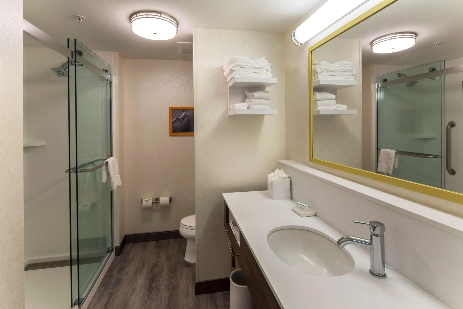 Hampton Inn & Suites Atlanta Midtown