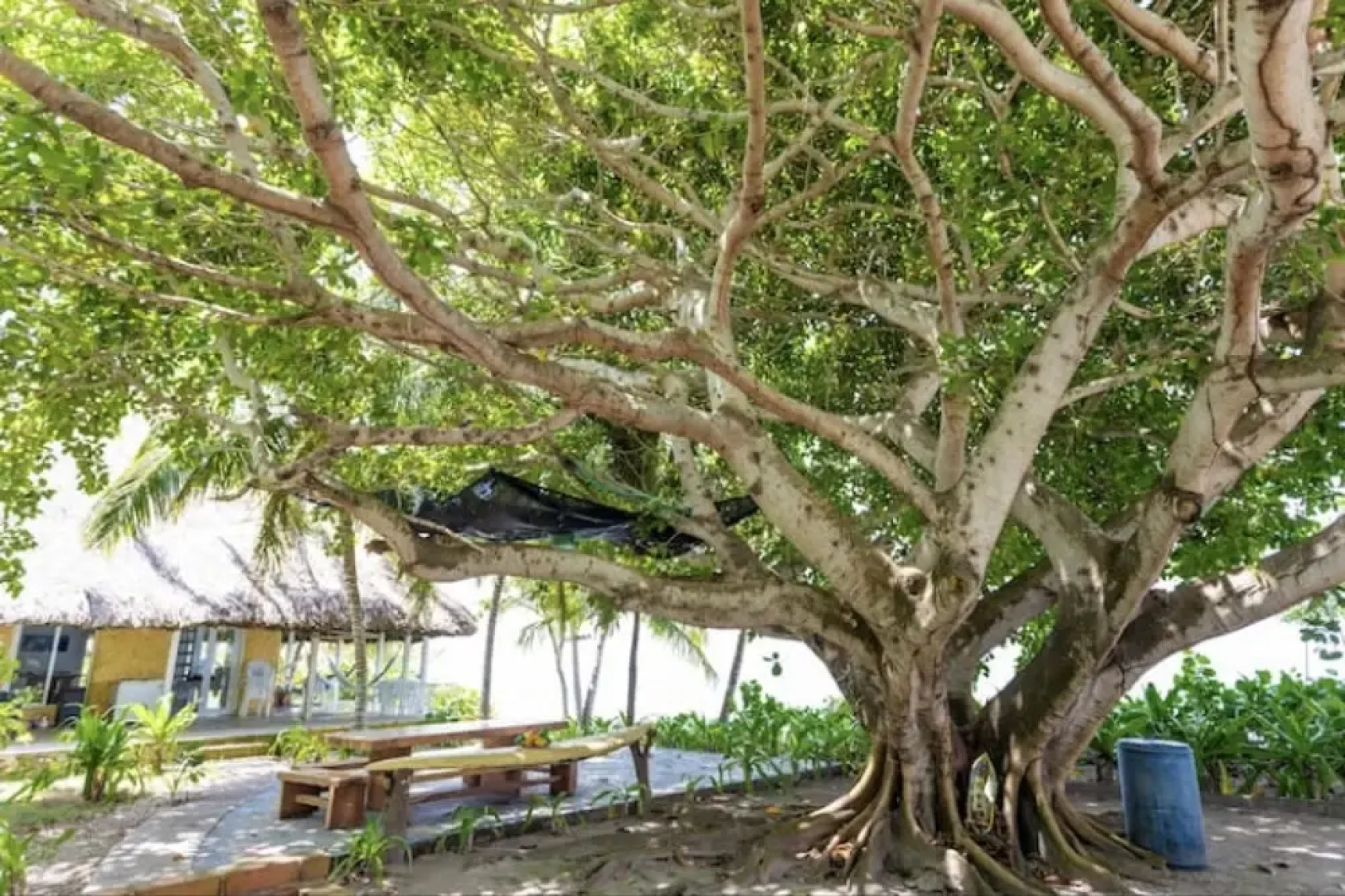 Isla Amor in Isla With 4 Bedrooms and 4 Bathrooms