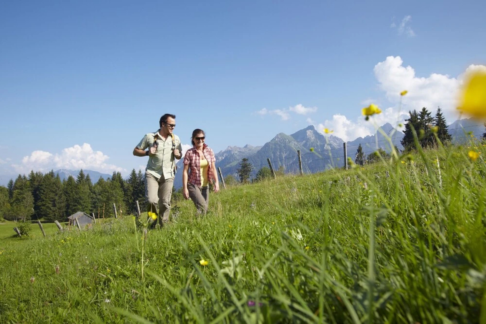 Haus Fellner by A-Appartements