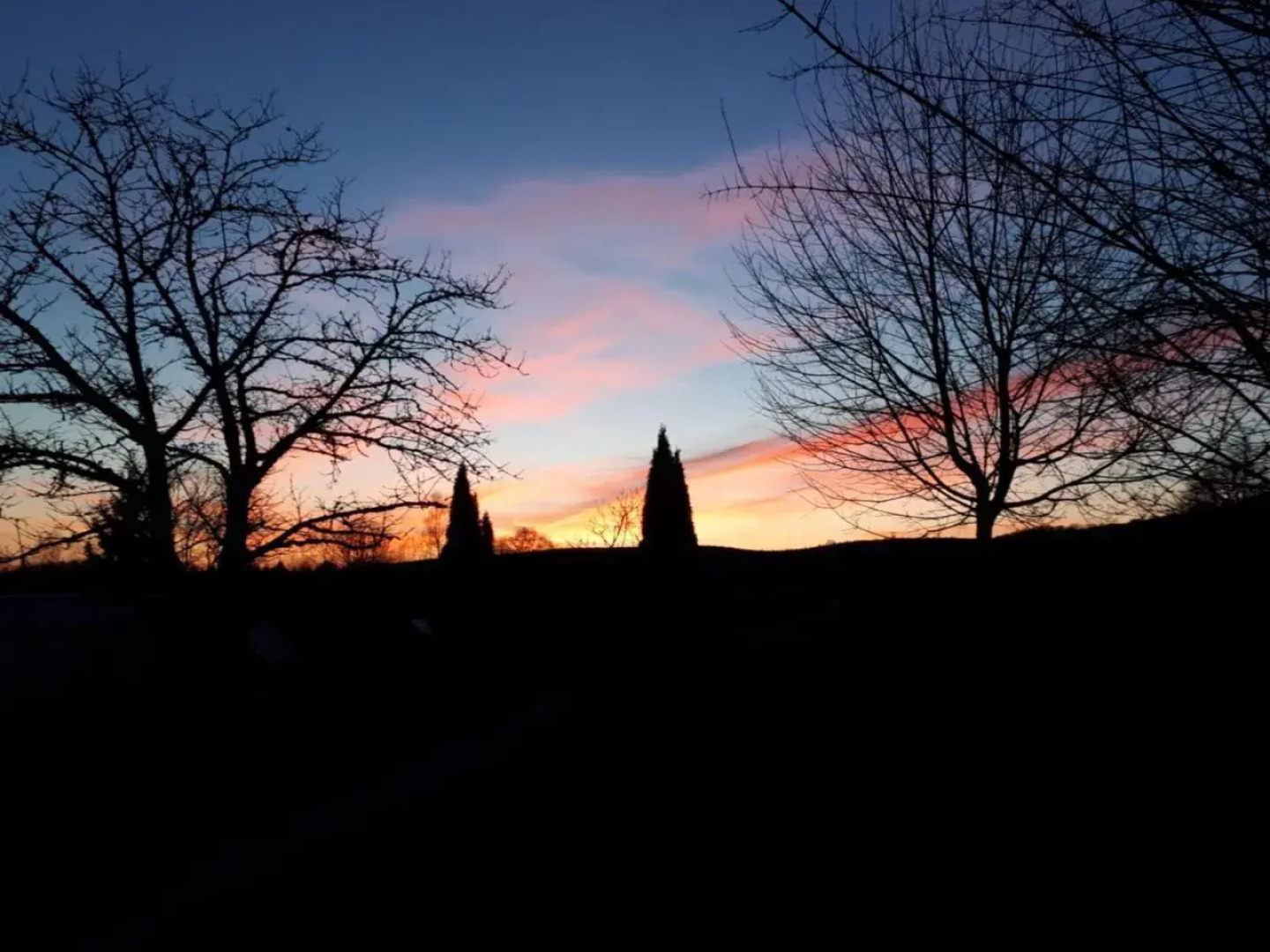 Hébergements Insolites en cabanes