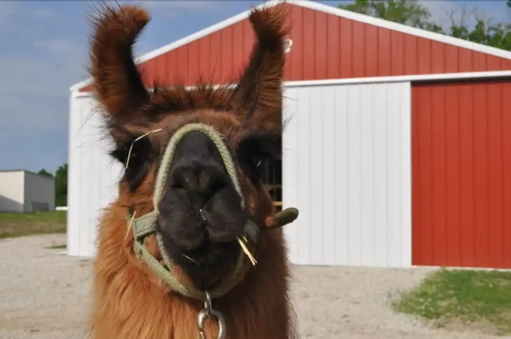 Lazy T Ranch Guest House