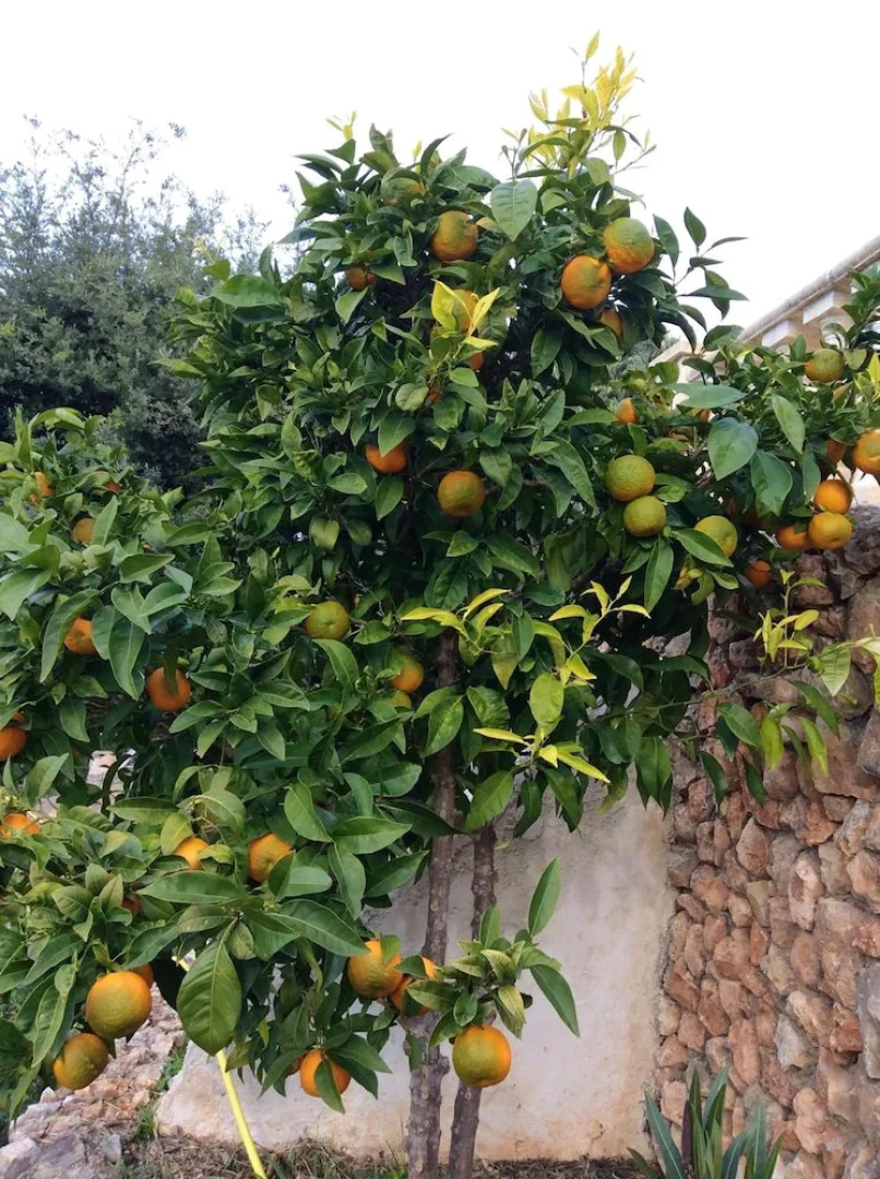 Villa With 3 Bedrooms in Claviers, With Private Pool, Enclosed Garden and Wifi