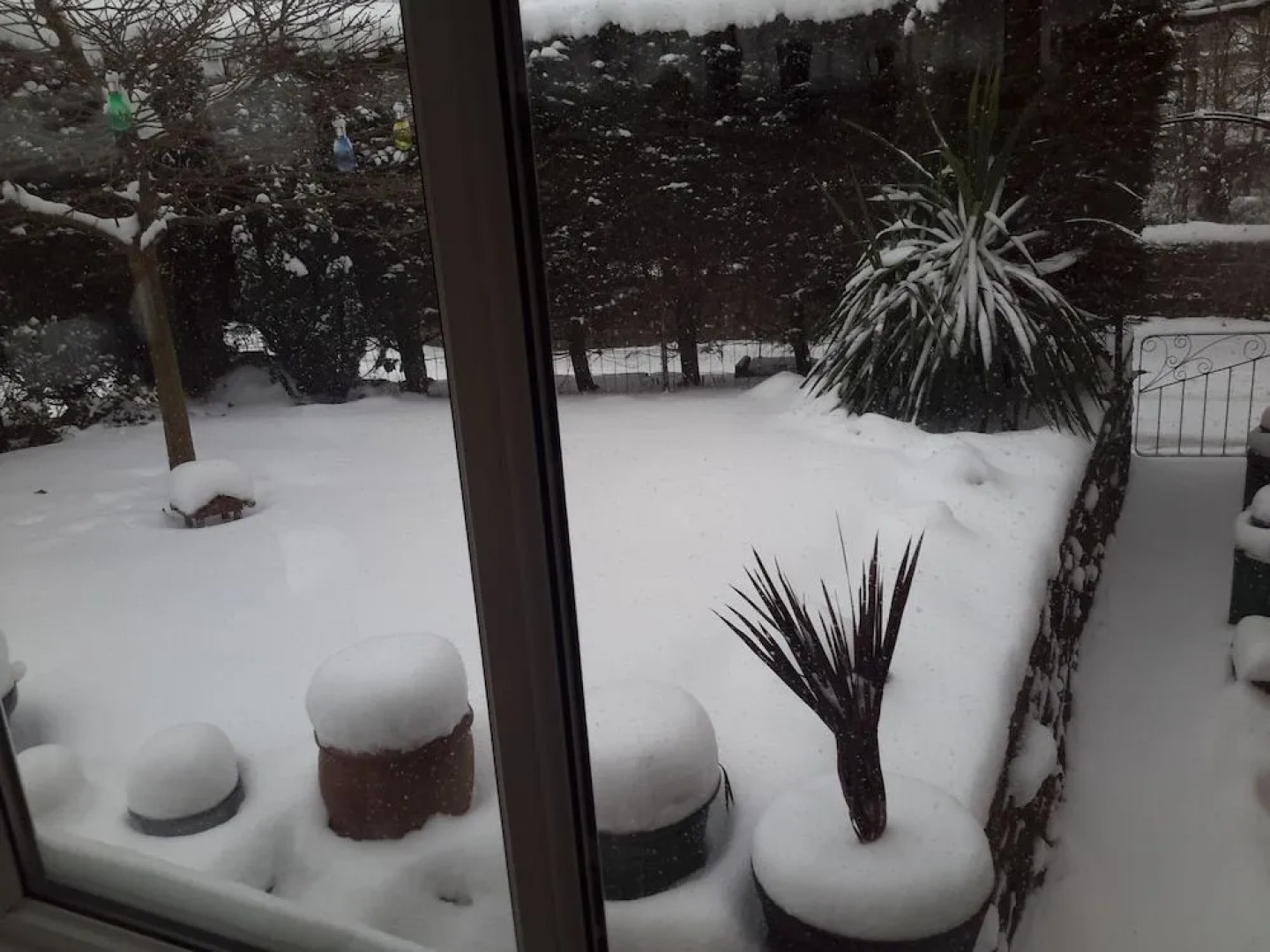 Rosebud Cottage Guest House