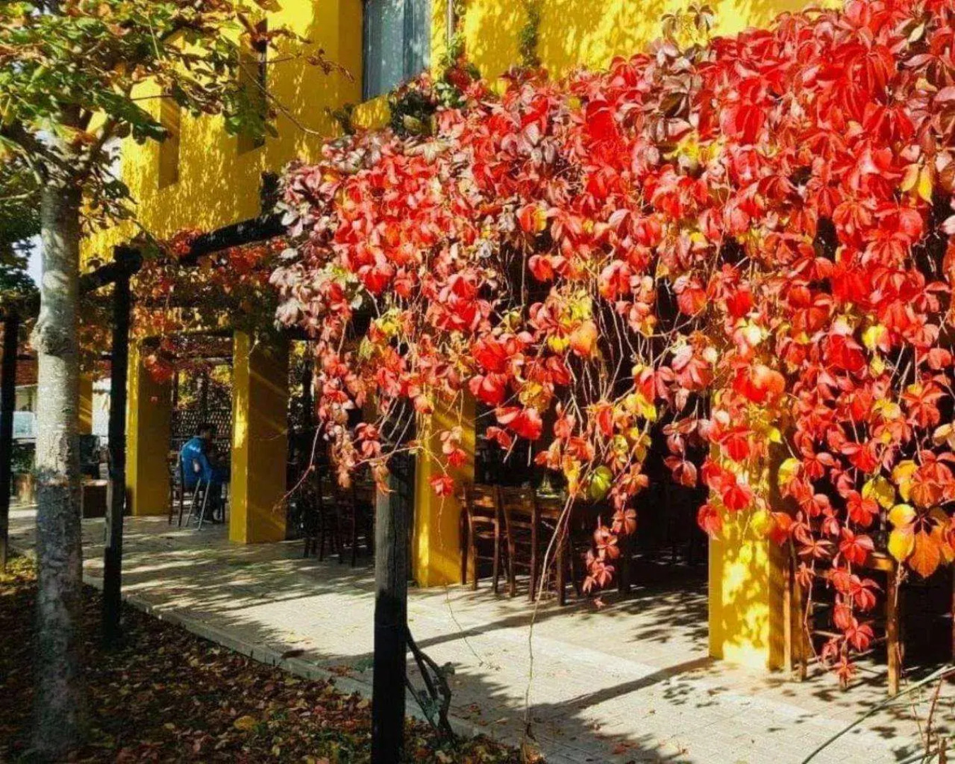 Cascina Bosco Gerolo