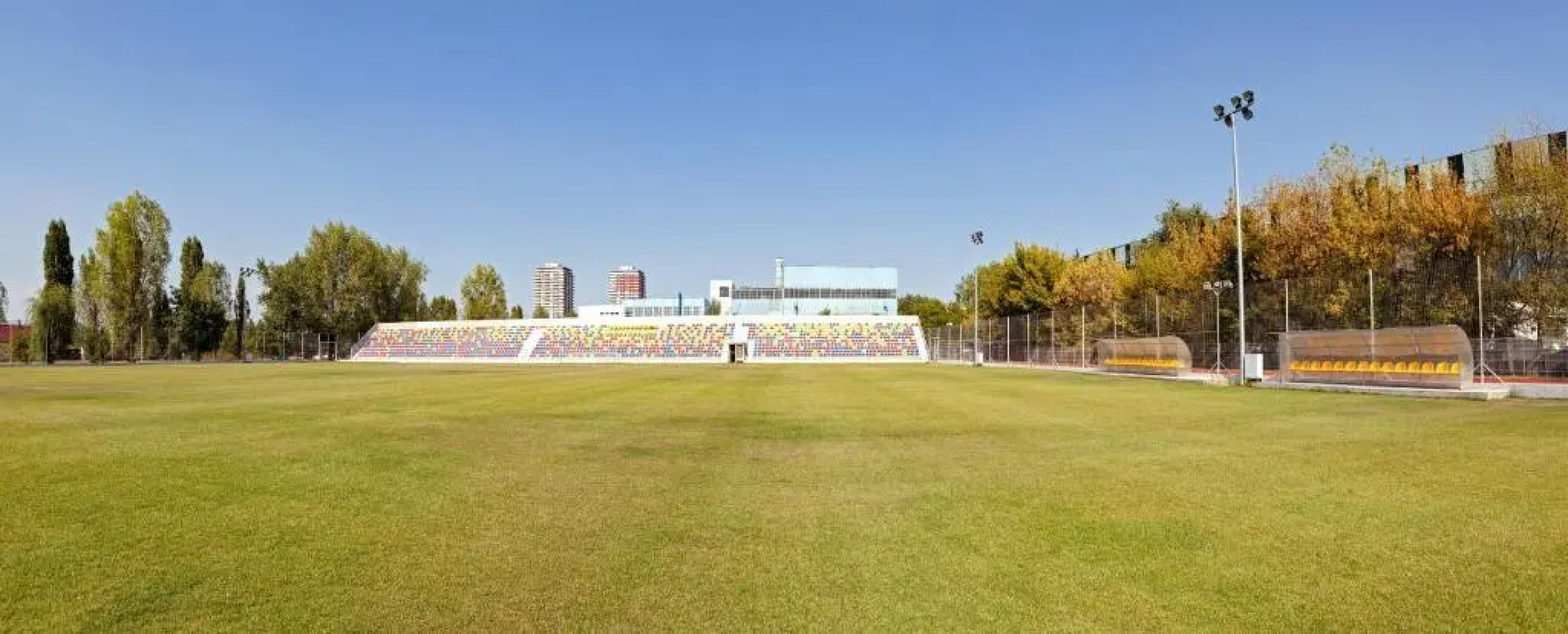 Premium Wellness Institute