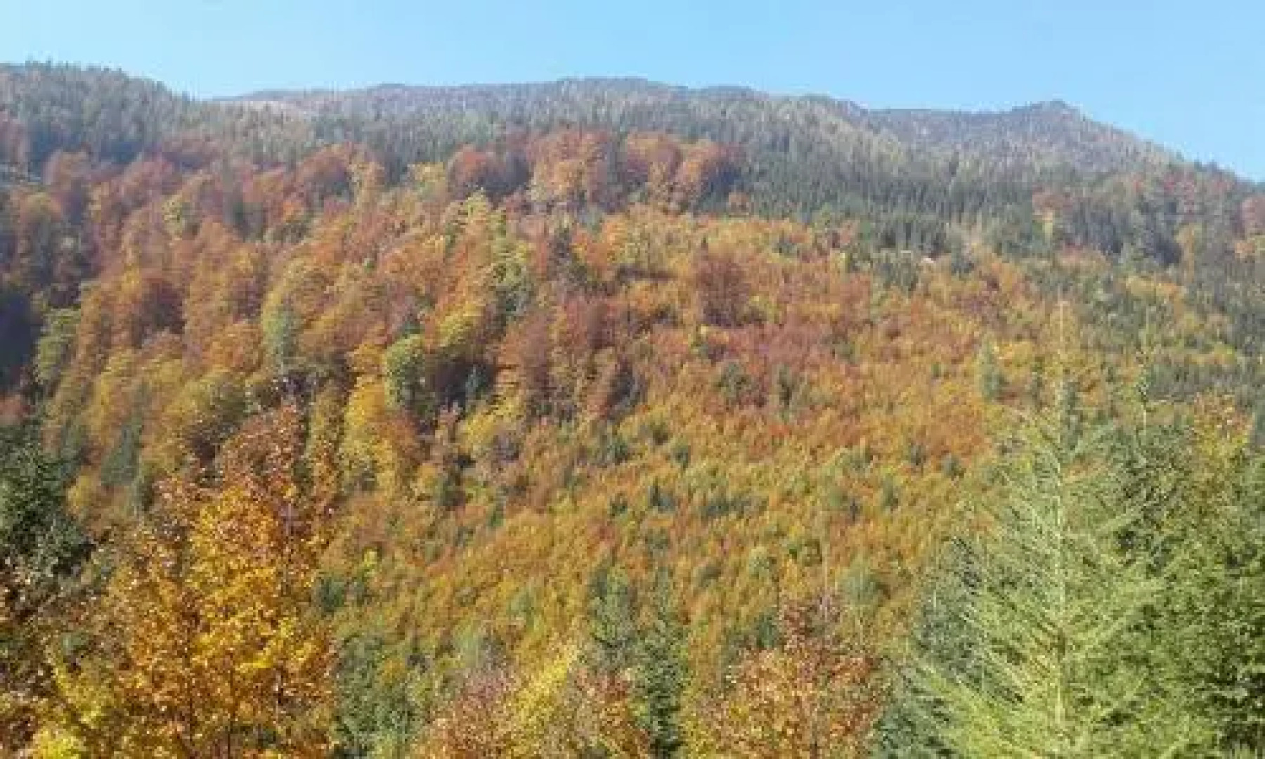 Loka Lodge at Raduha