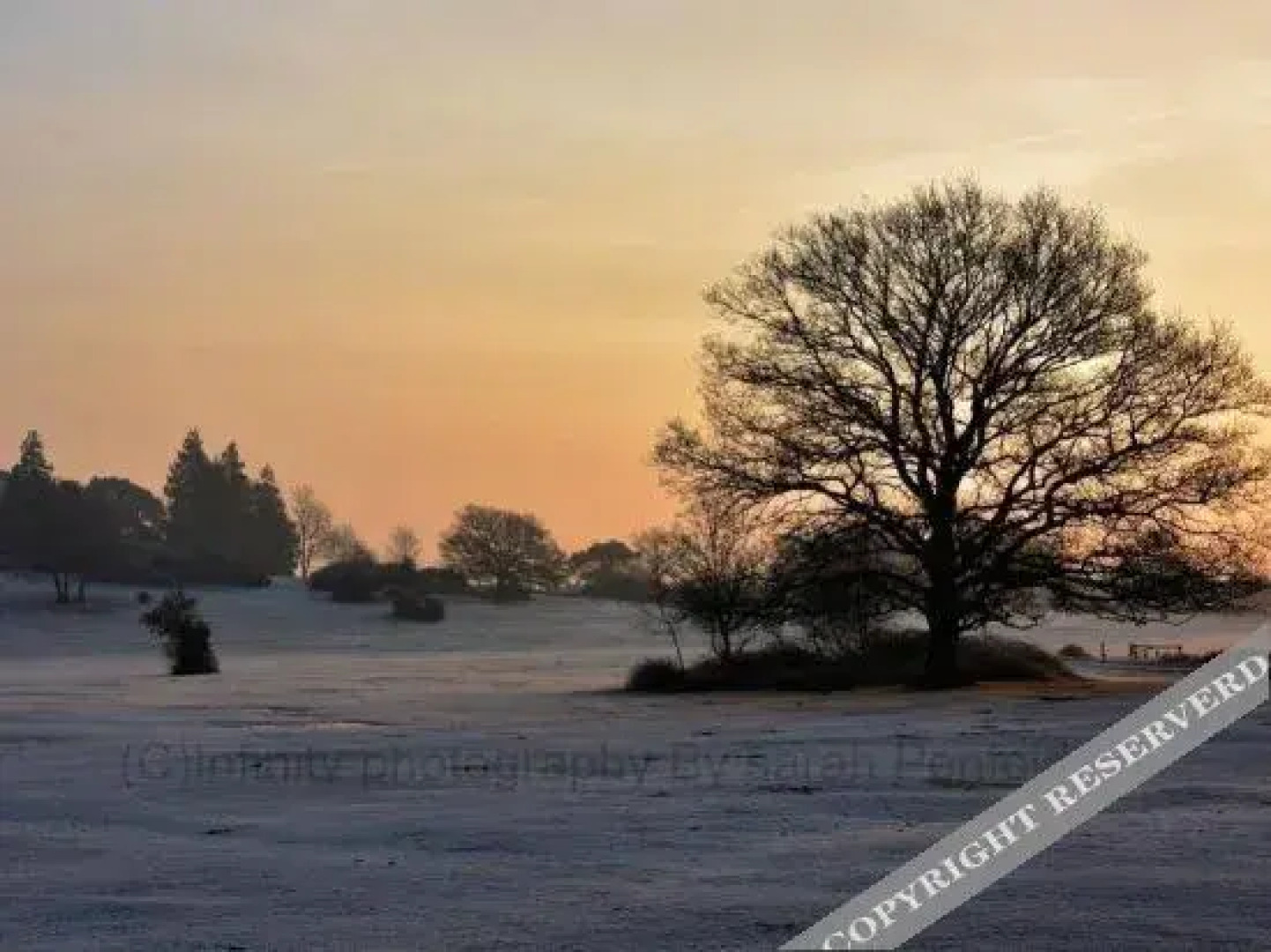 Rosedale Bed and Breakfast