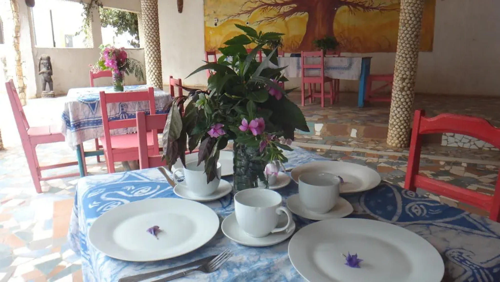 Hotel Mimosa - Hostel