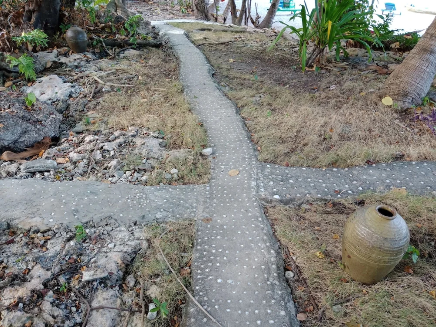 Hoga Island Dive Resort Wakatobi