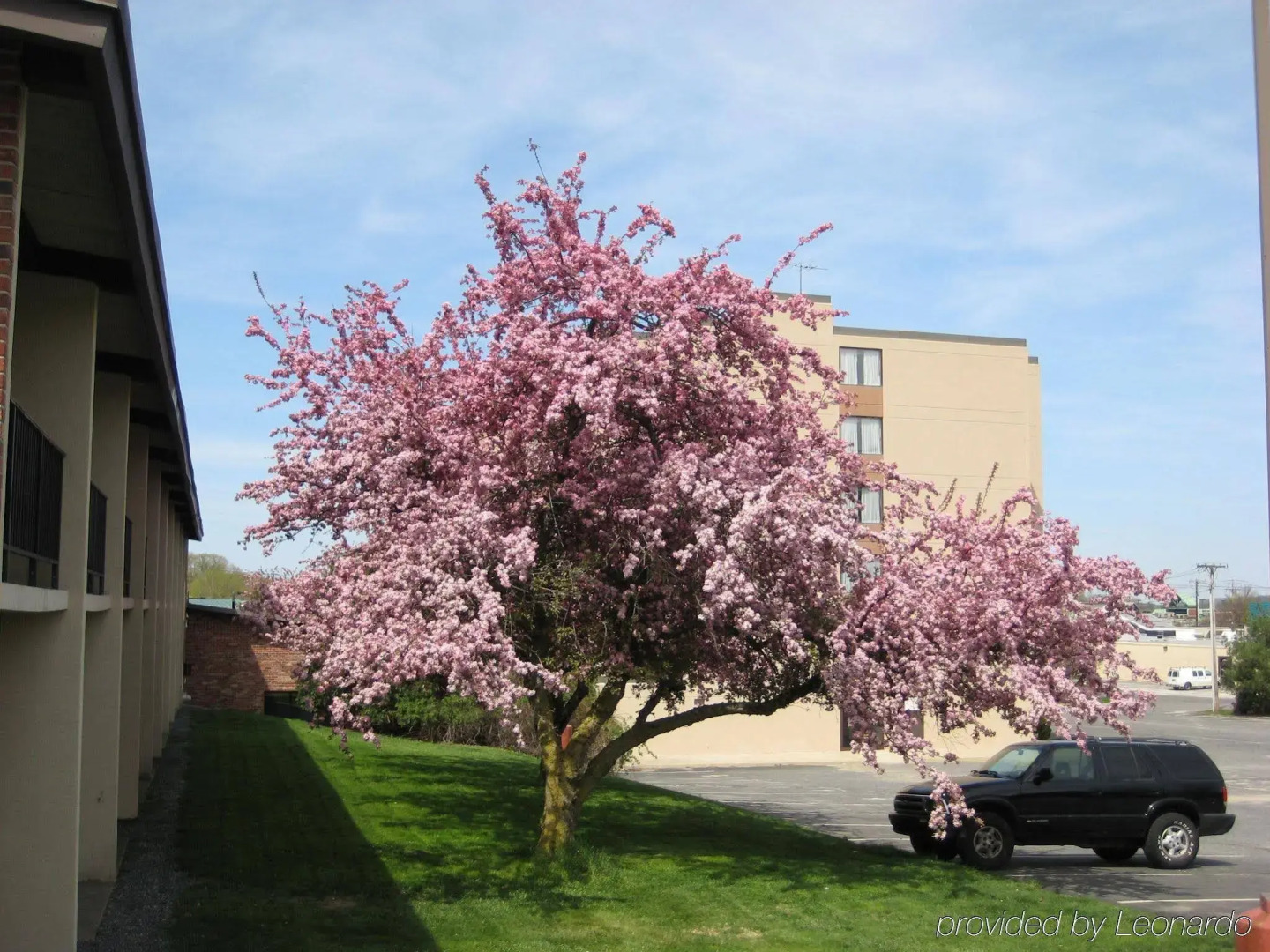 Magnuson Hotel Framingham