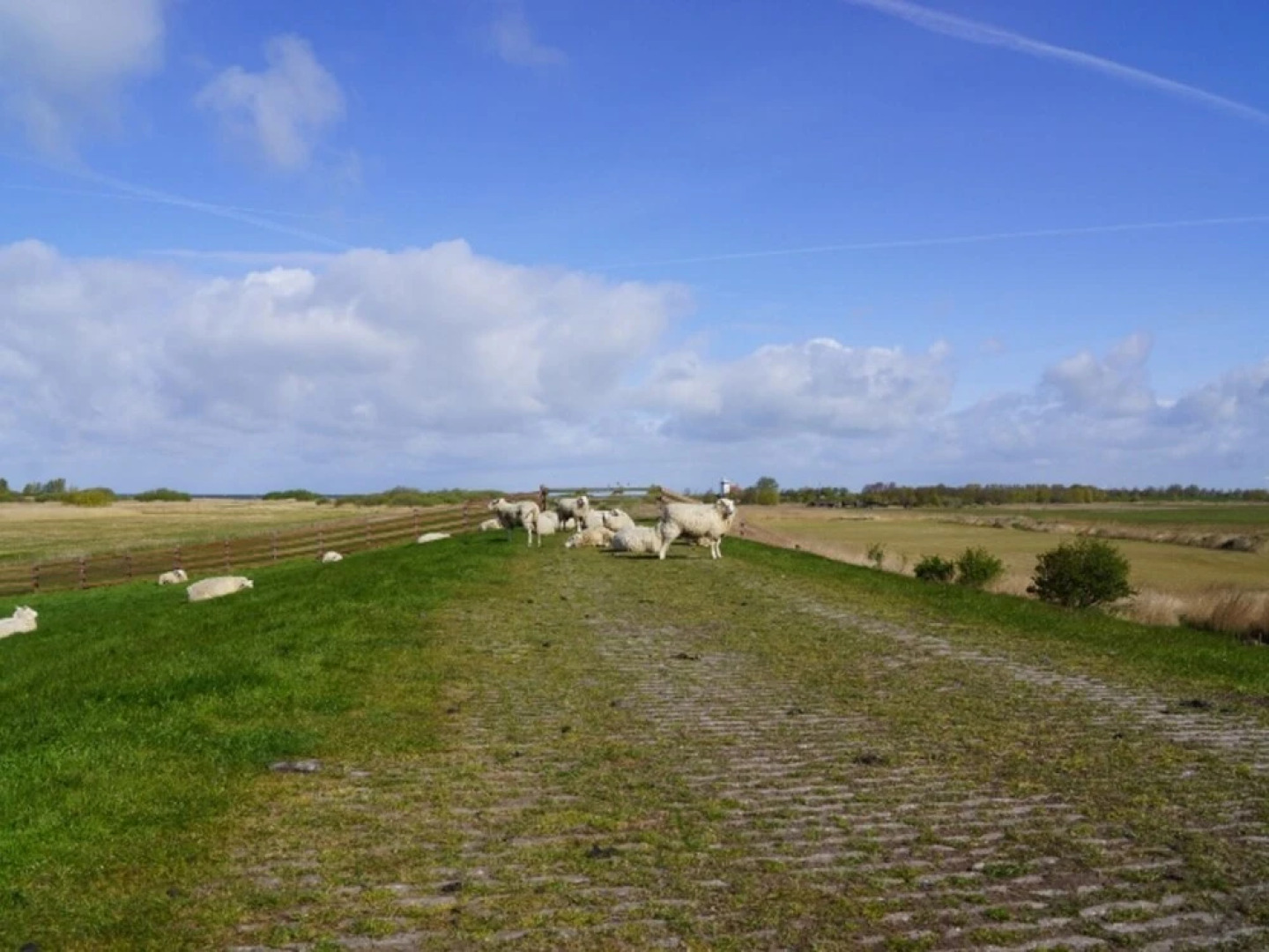 Lovely Holiday Home In Hindeloopen In A Great Setting On The 11 City Tour Route