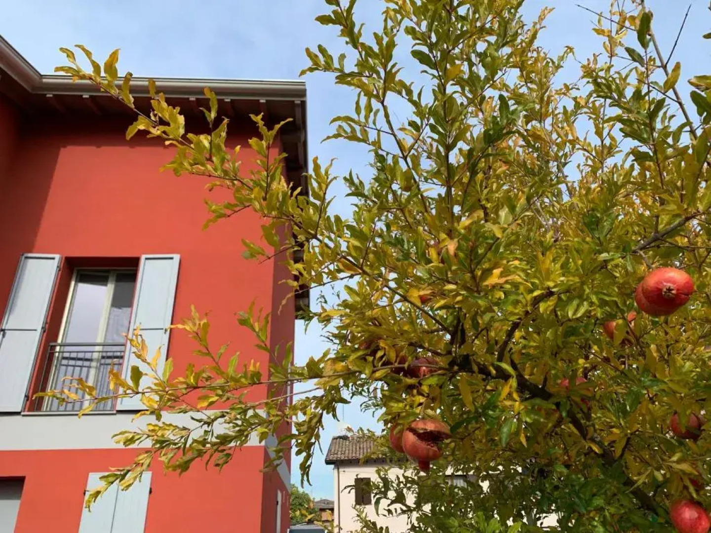 Sala dell Estate Guest House