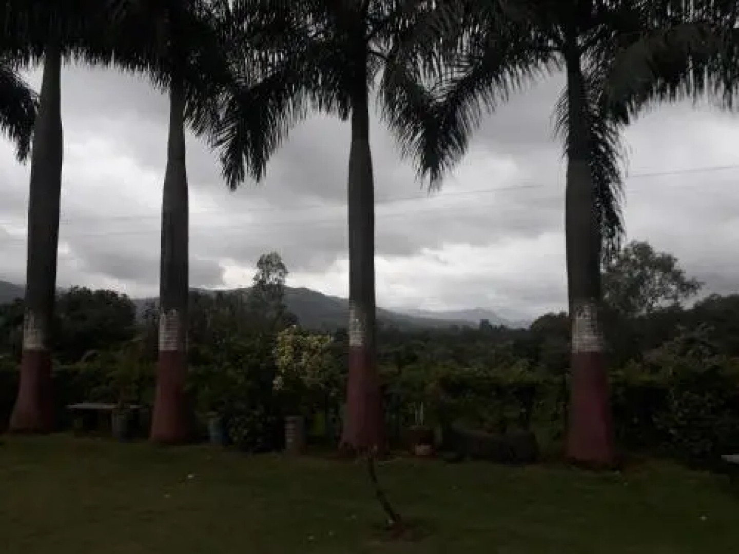 Giriraj Farm Hill Resort
